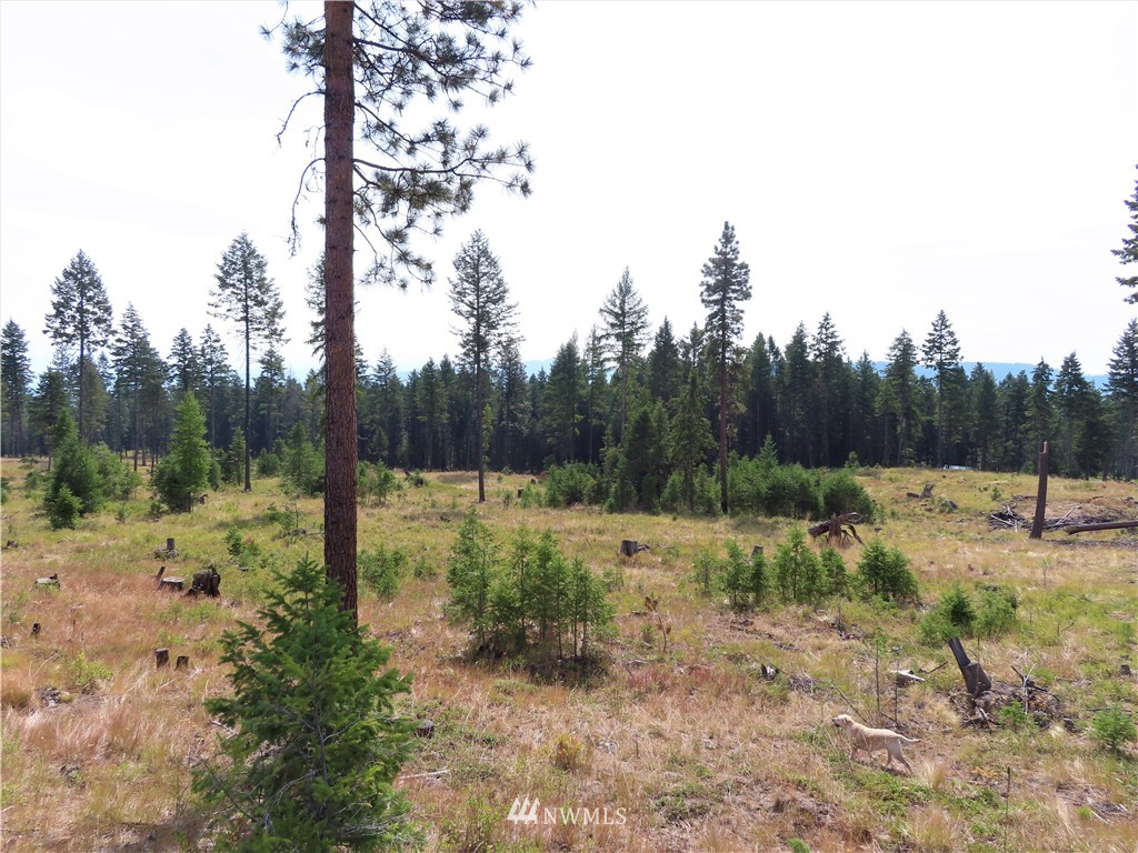 10 Roy Road Republic, WA 99166 - Photo 10 of 12