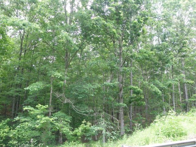 55 Railroad Bed Road Hohenwald, TN 38462 - Photo 1 of 1 Gallery Image 1