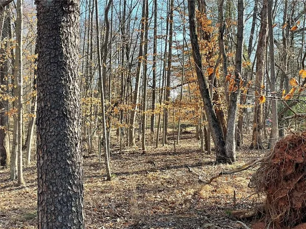 $30,000 | Lot 142-143 Claremont Drive, Elkin, NC 28621