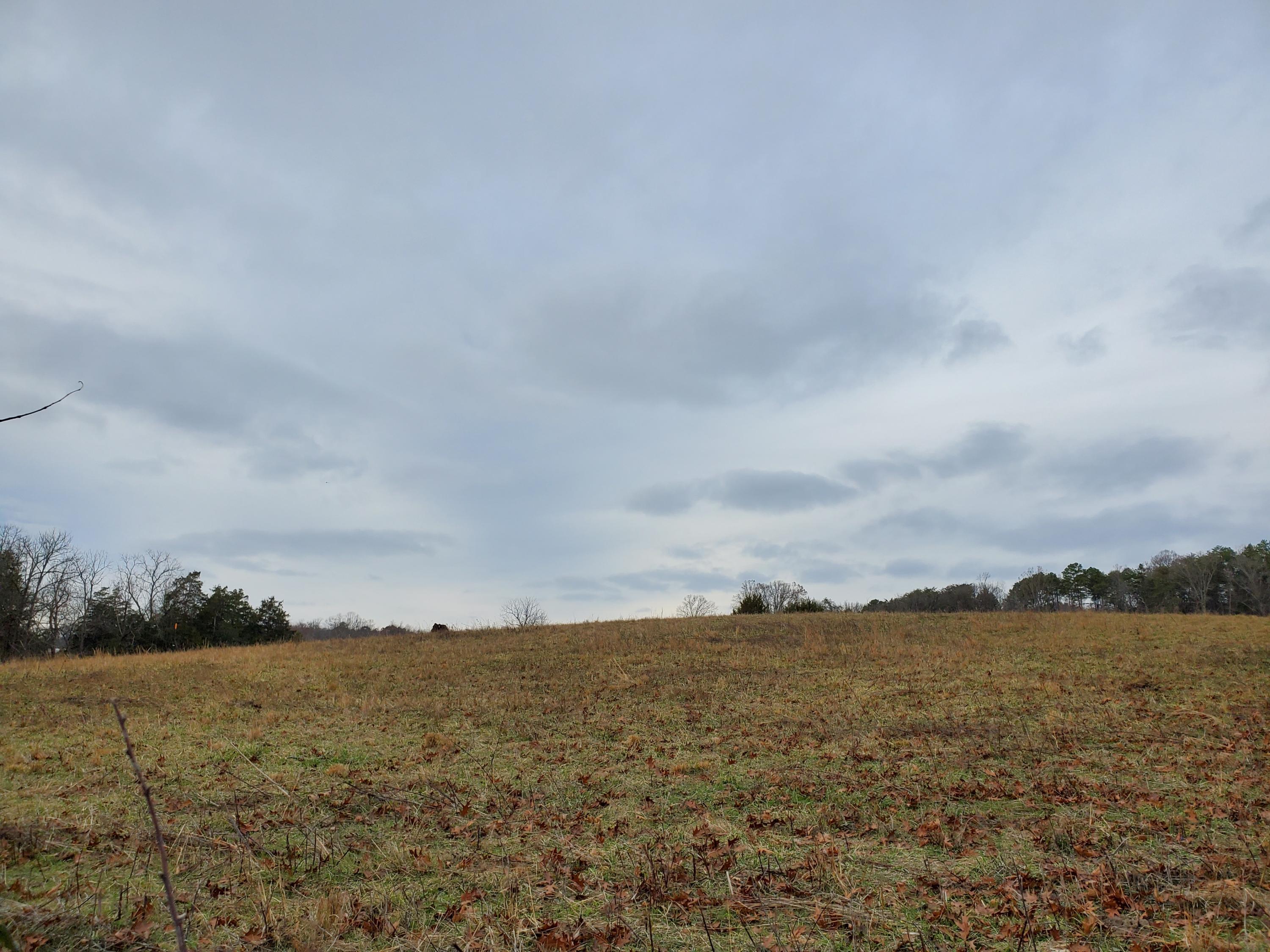 Luttrell Road Knoxville, TN 37918 - Photo 1 of 30 20191203_151610