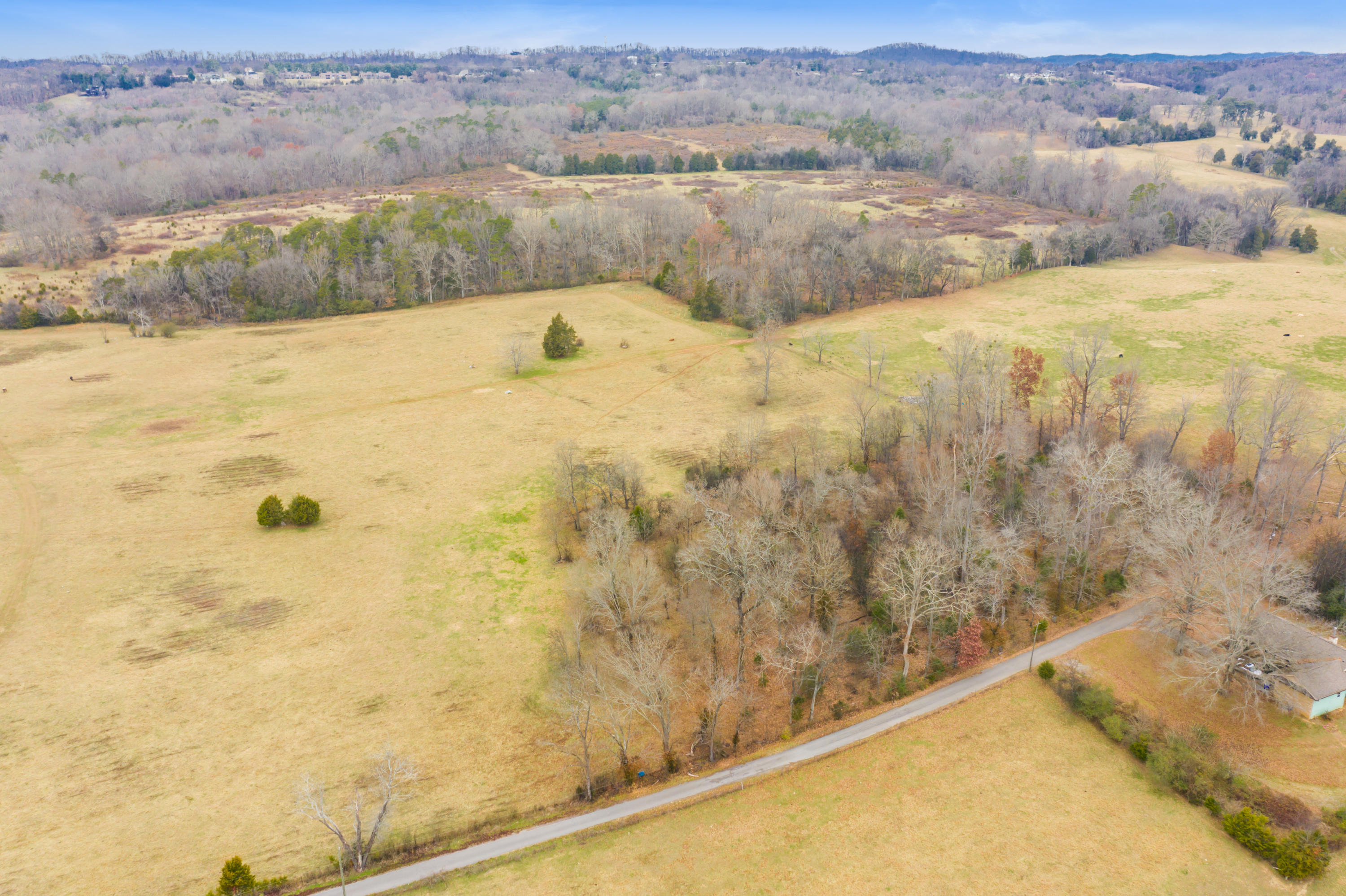 Luttrell Road Knoxville, TN 37918 - Photo 11 of 30 JimLuttrellLane-5