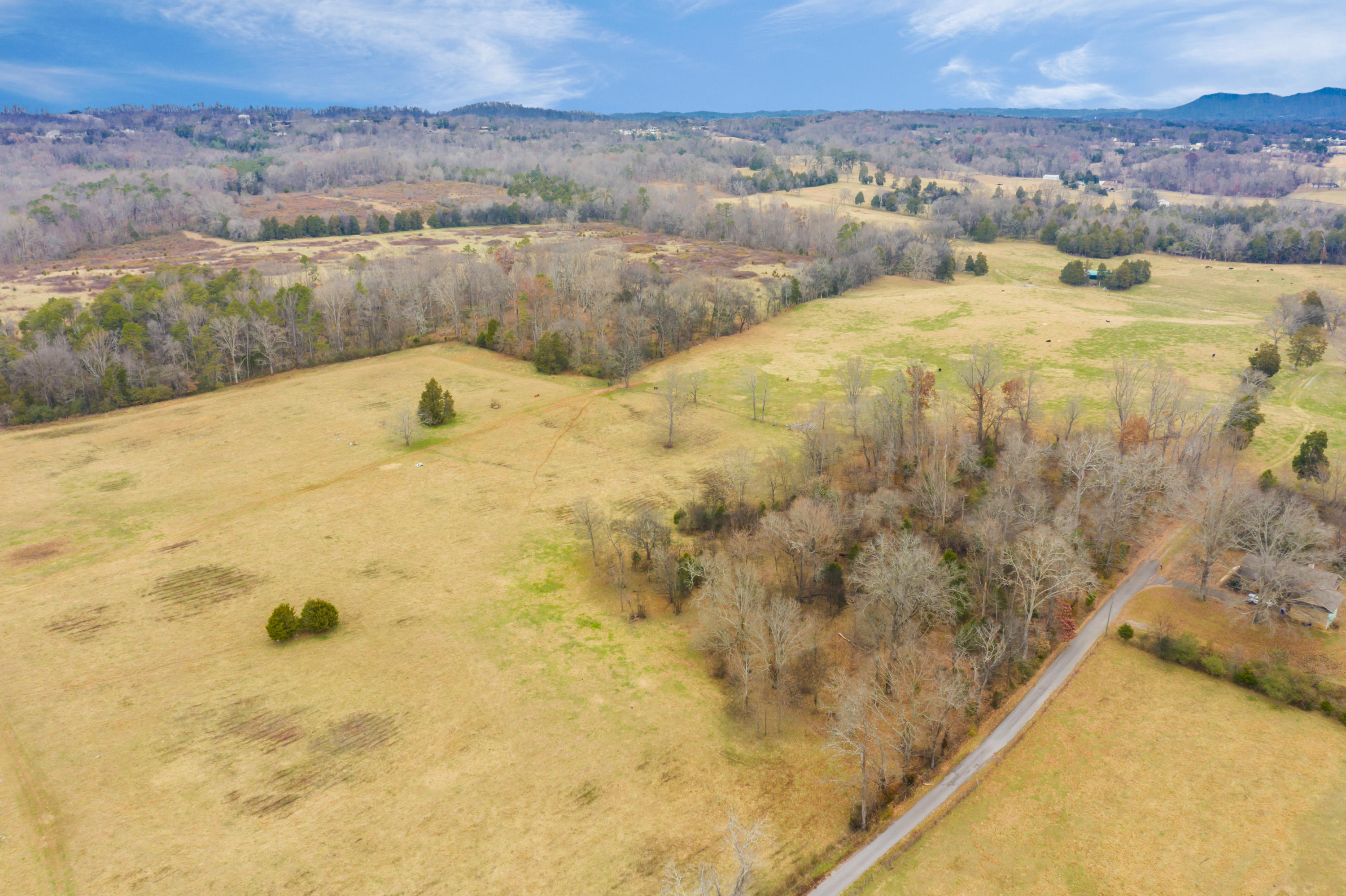 Luttrell Road Knoxville, TN 37918 - Photo 12 of 30 JimLuttrellLane-6