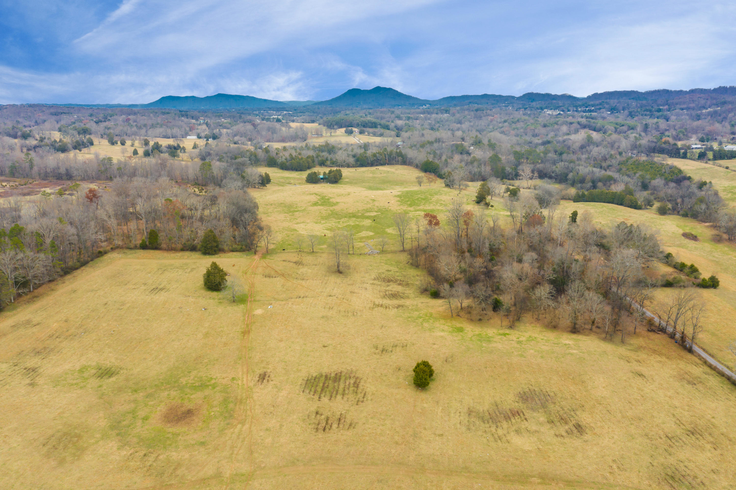 Luttrell Road Knoxville, TN 37918 - Photo 13 of 30 JimLuttrellLane-7
