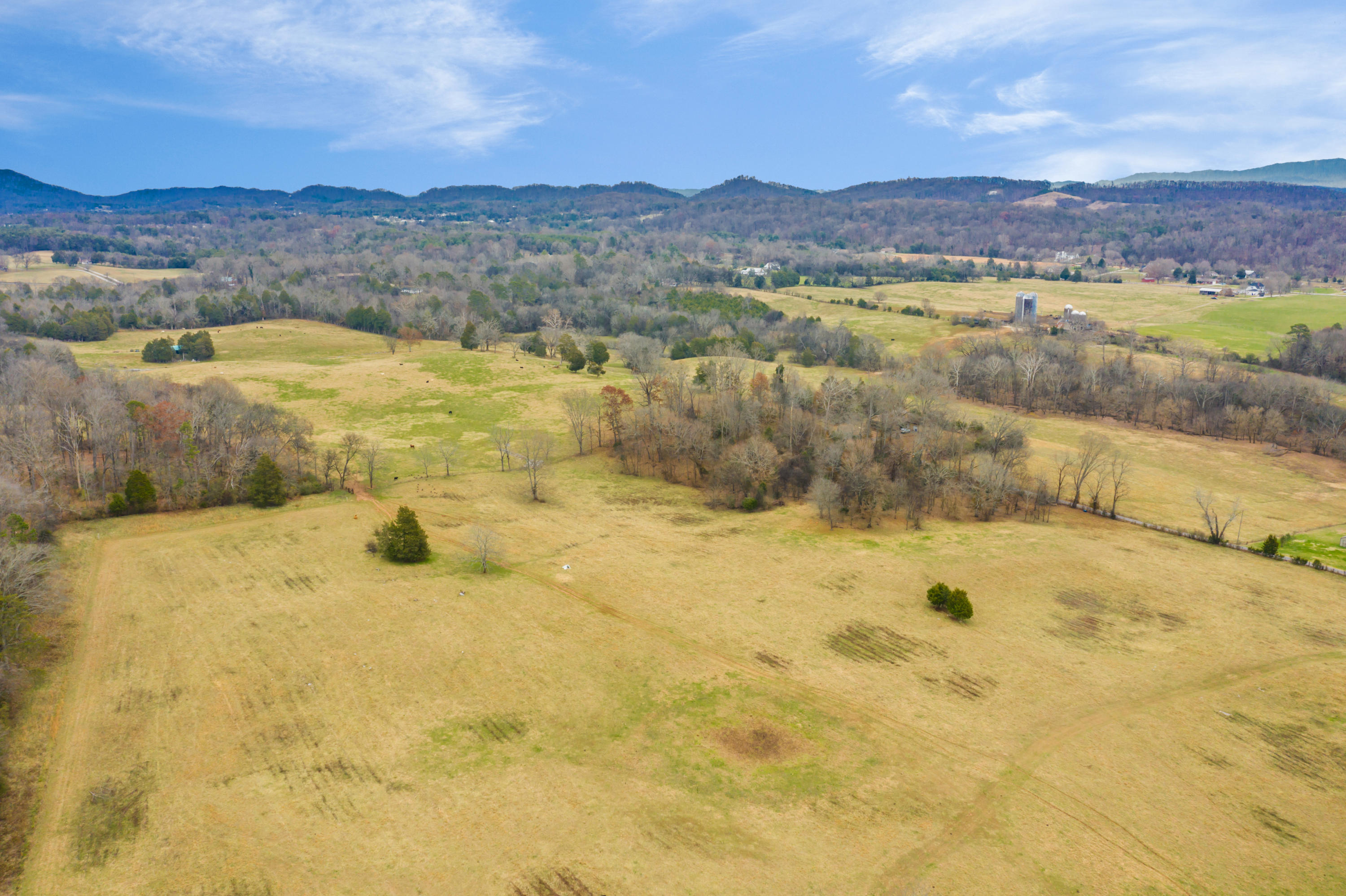 Luttrell Road Knoxville, TN 37918 - Photo 14 of 30 JimLuttrellLane-8