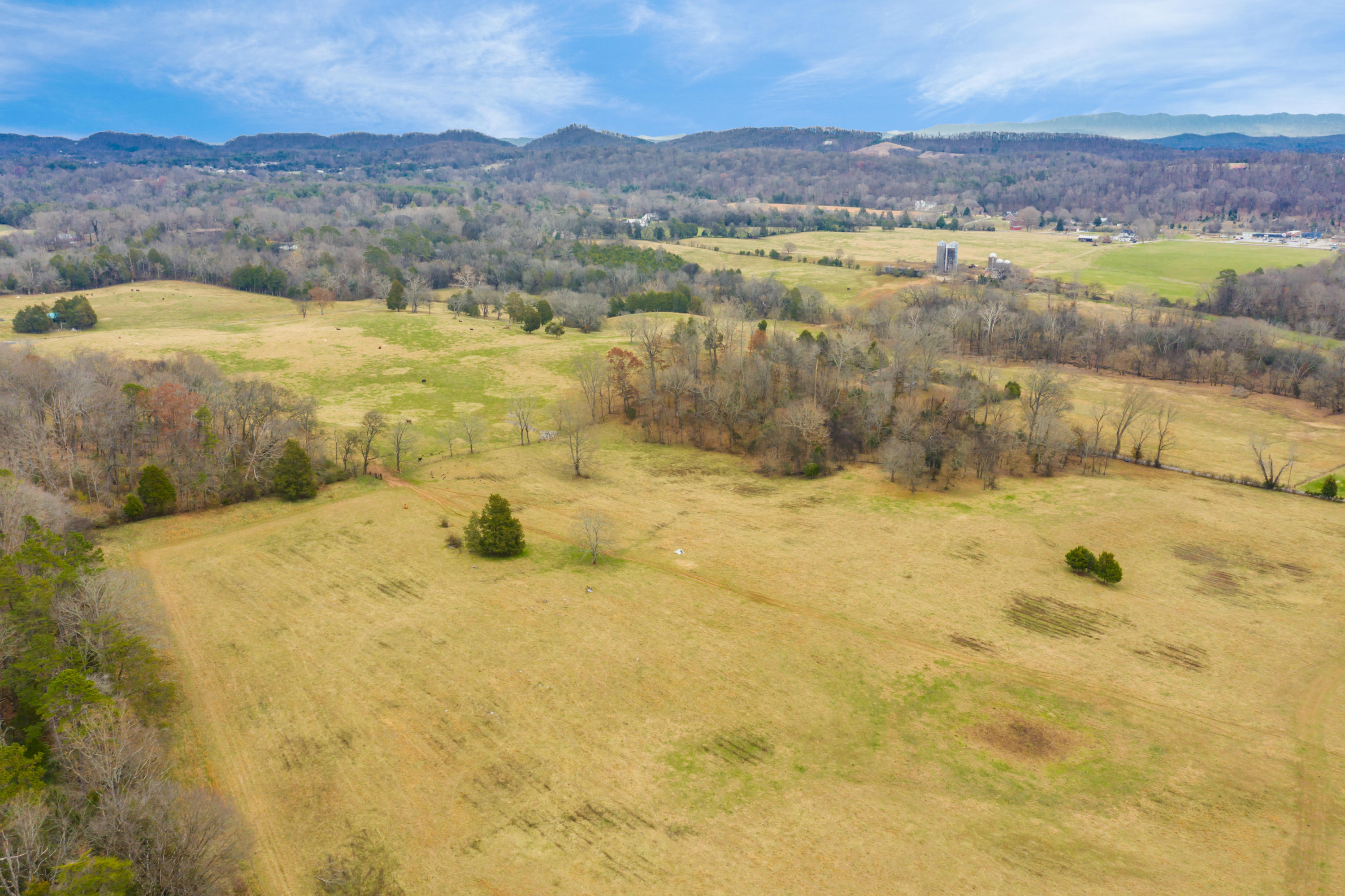 Luttrell Road Knoxville, TN 37918 - Photo 15 of 30 JimLuttrellLane-9