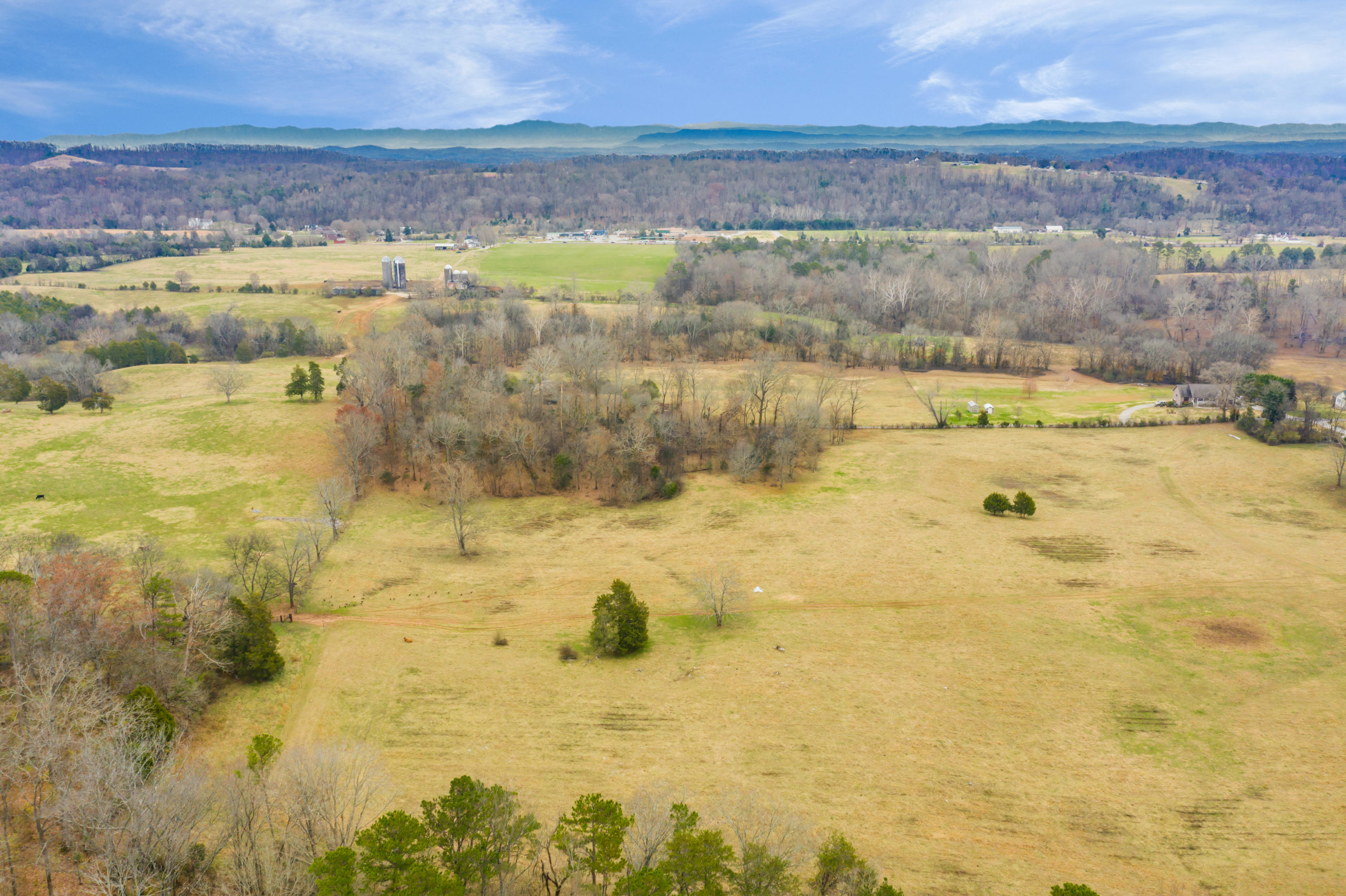 Luttrell Road Knoxville, TN 37918 - Photo 16 of 30 JimLuttrellLane-10