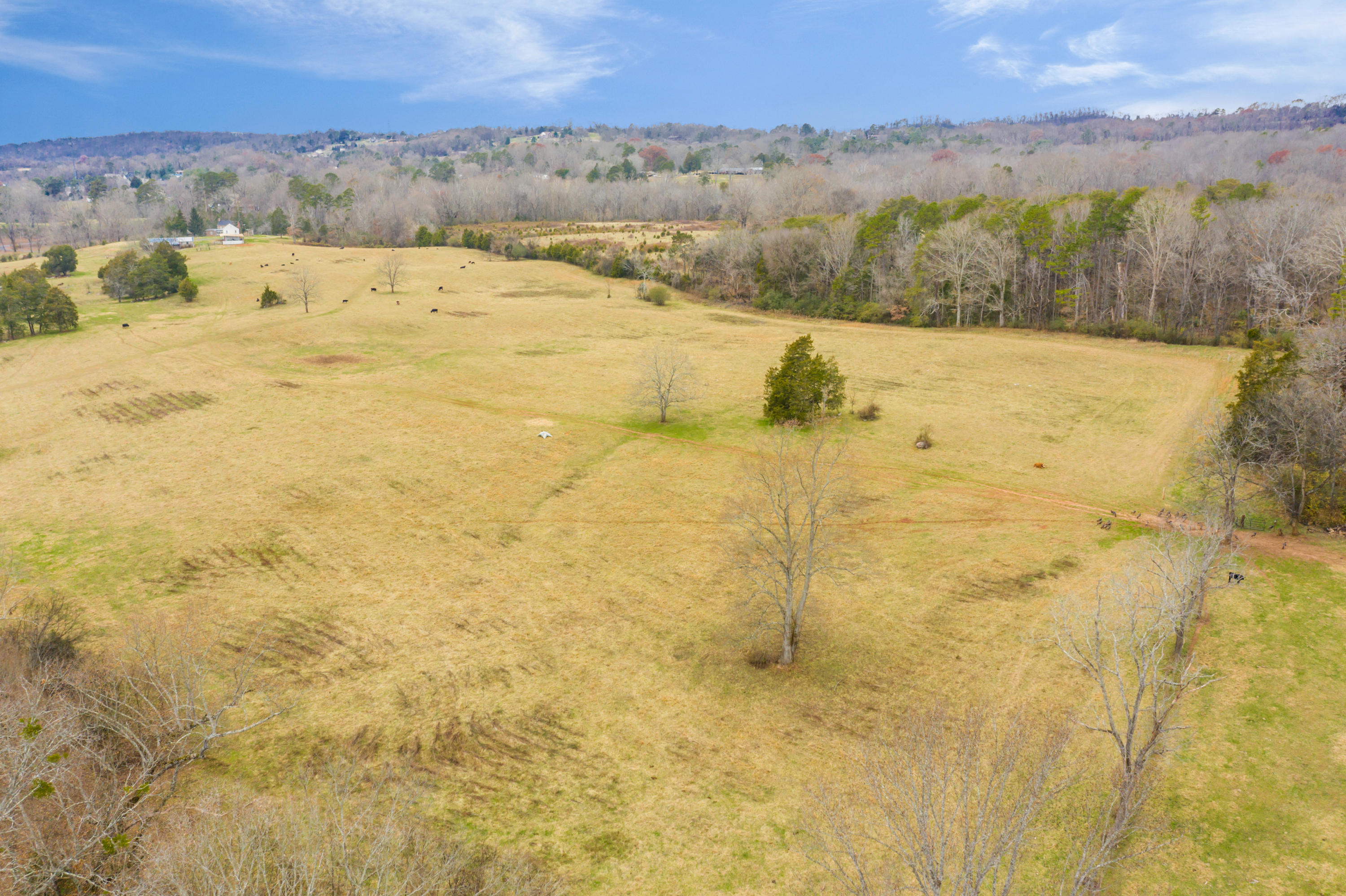 Luttrell Road Knoxville, TN 37918 - Photo 18 of 30 JimLuttrellLane-13