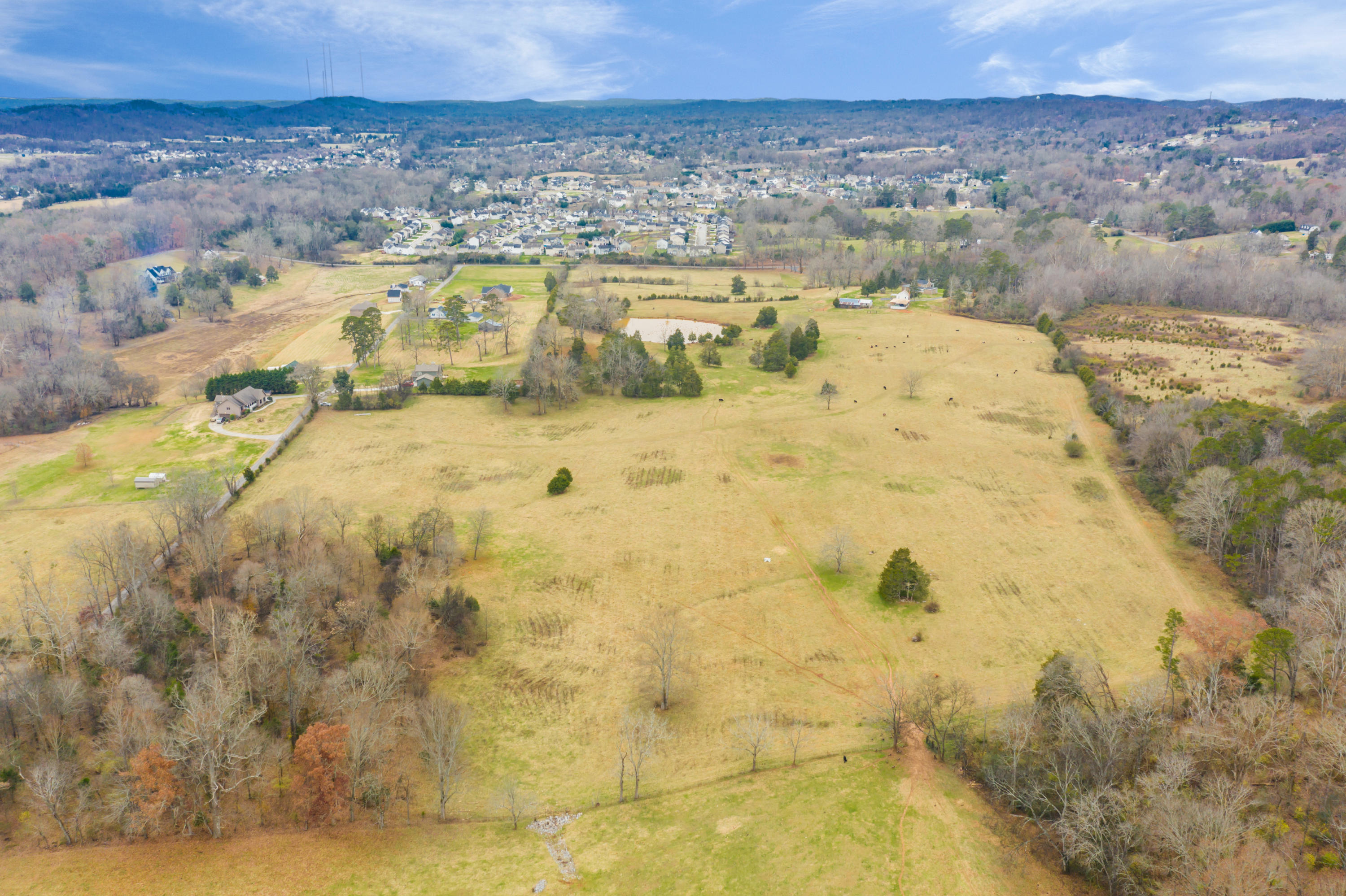 Luttrell Road Knoxville, TN 37918 - Photo 19 of 30 JimLuttrellLane-12