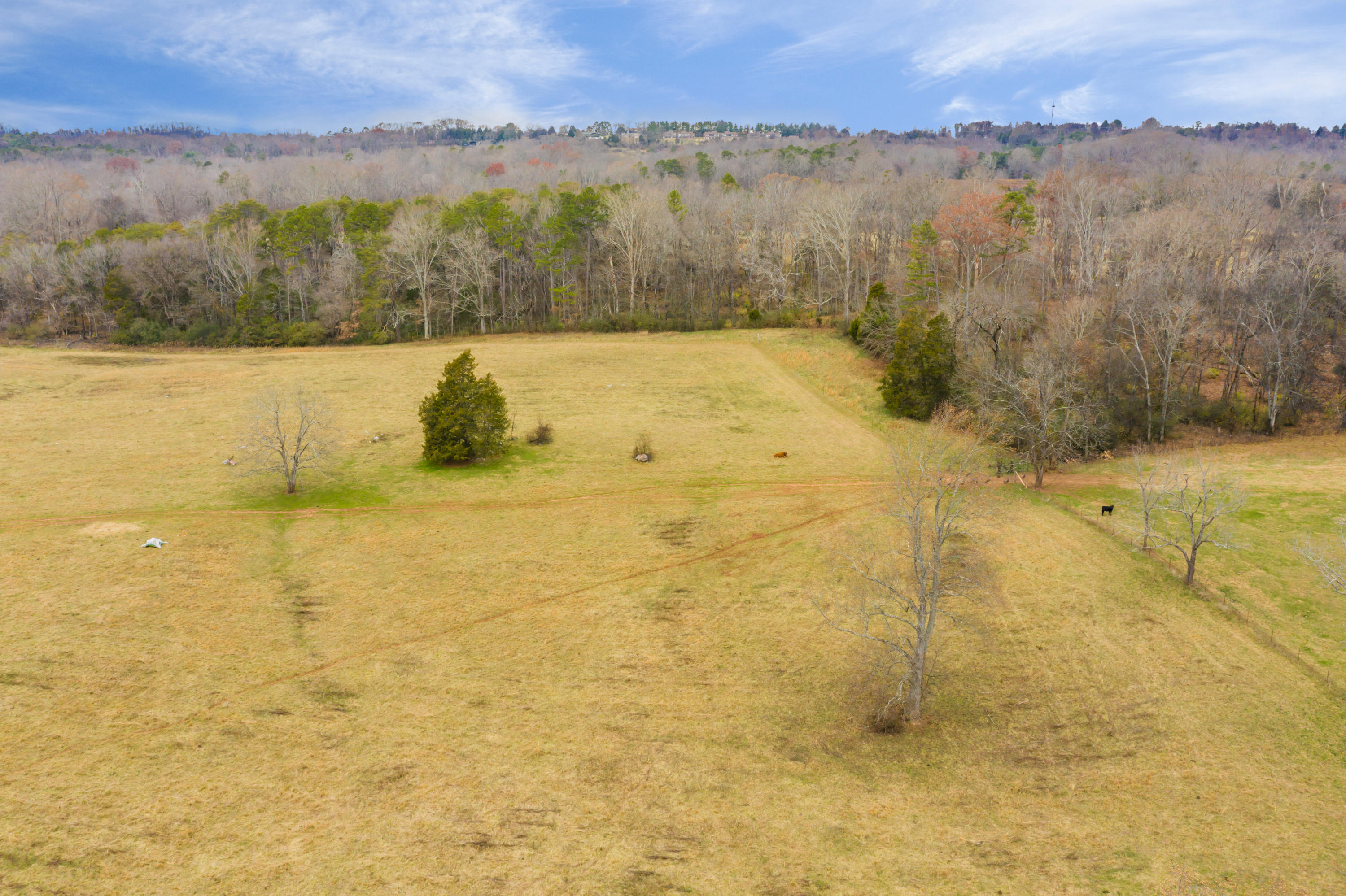 Luttrell Road Knoxville, TN 37918 - Photo 20 of 30 JimLuttrellLane-14