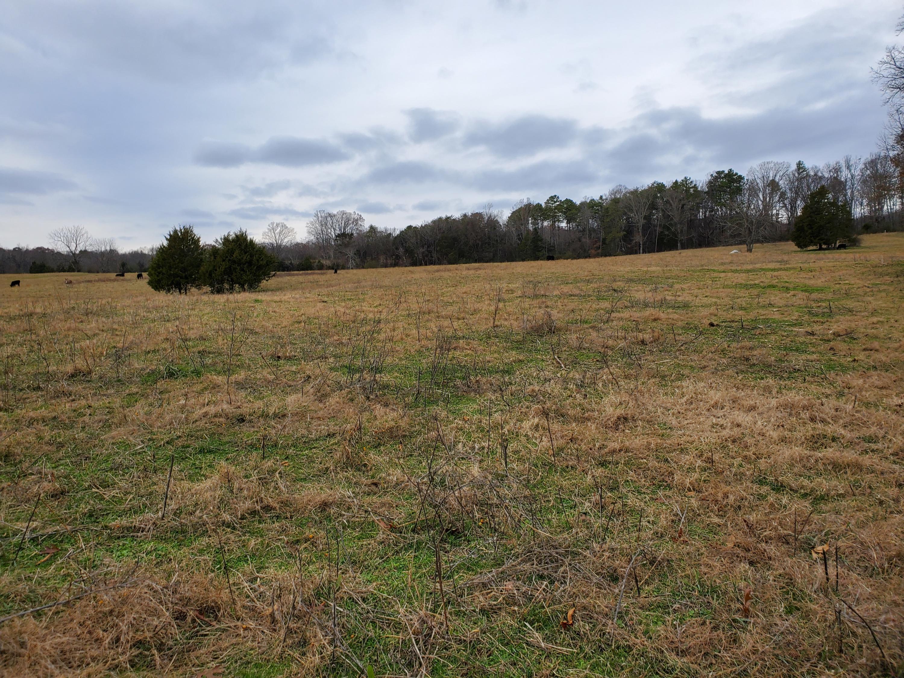 Luttrell Road Knoxville, TN 37918 - Photo 3 of 30 20191203_151422