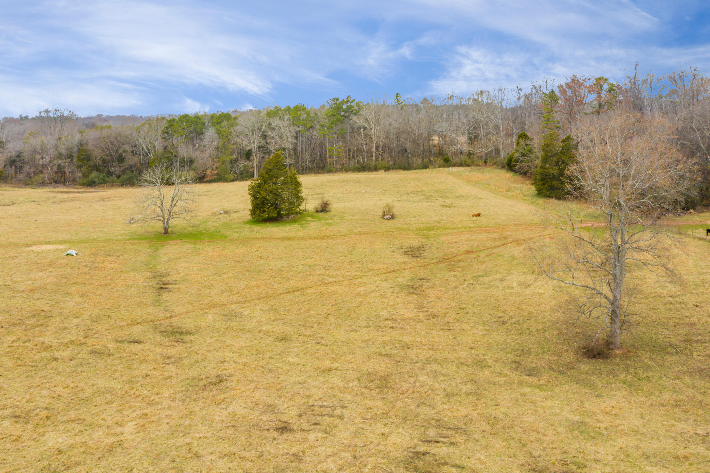 Luttrell Road Knoxville, TN 37918 - Photo 21 of 30 JimLuttrellLane-15