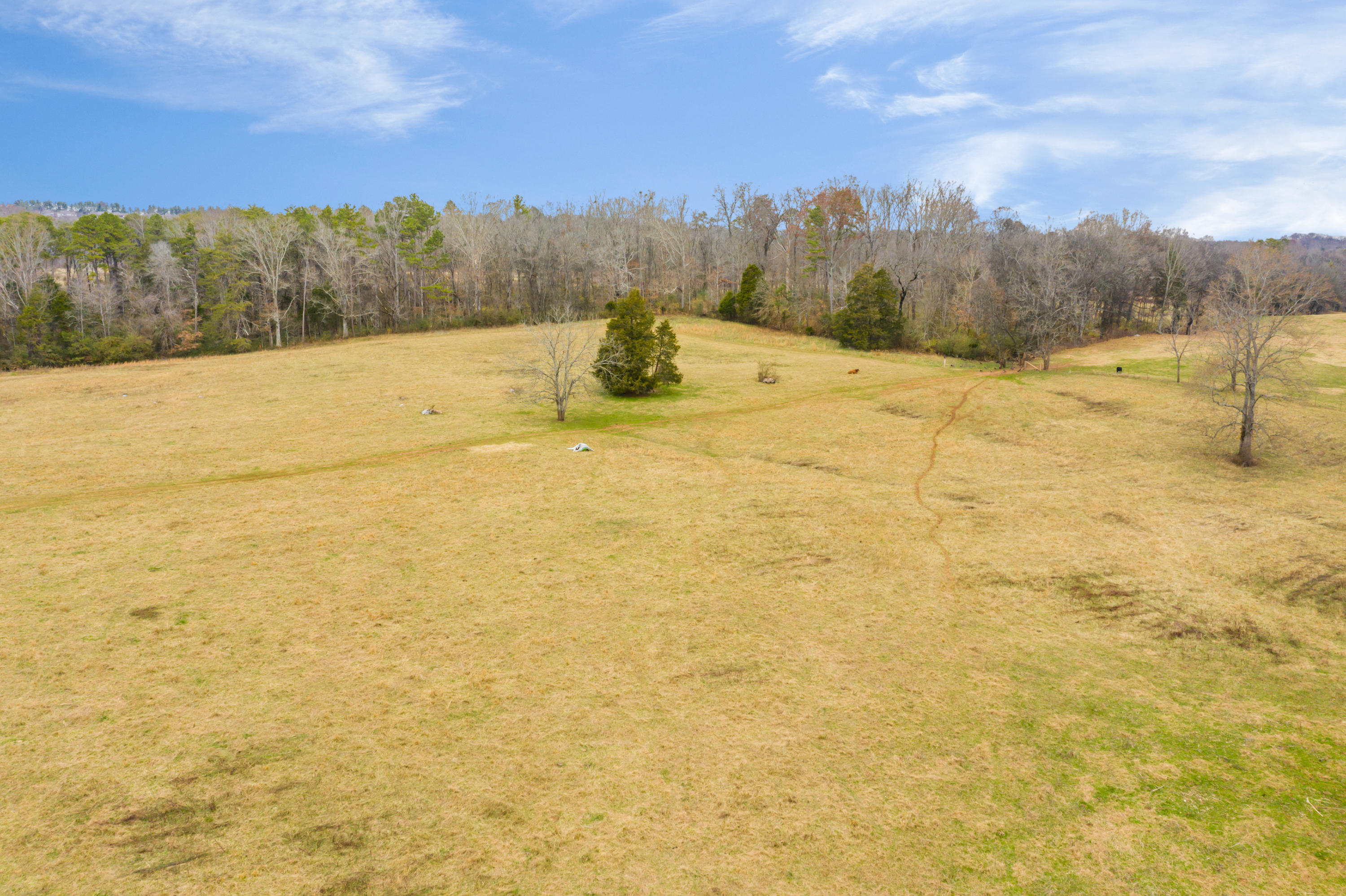 Luttrell Road Knoxville, TN 37918 - Photo 22 of 30 JimLuttrellLane-16