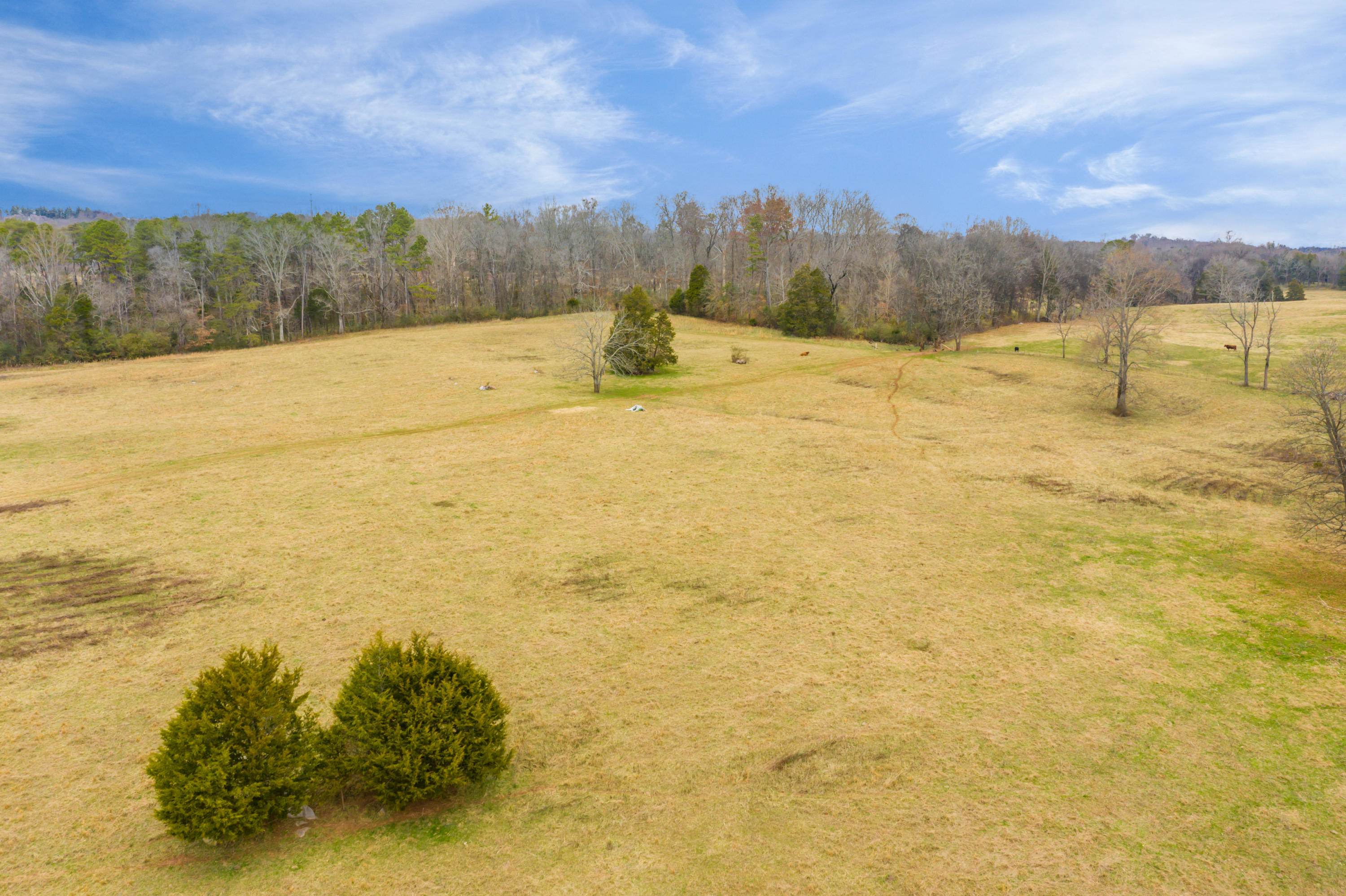Luttrell Road Knoxville, TN 37918 - Photo 23 of 30 JimLuttrellLane-17