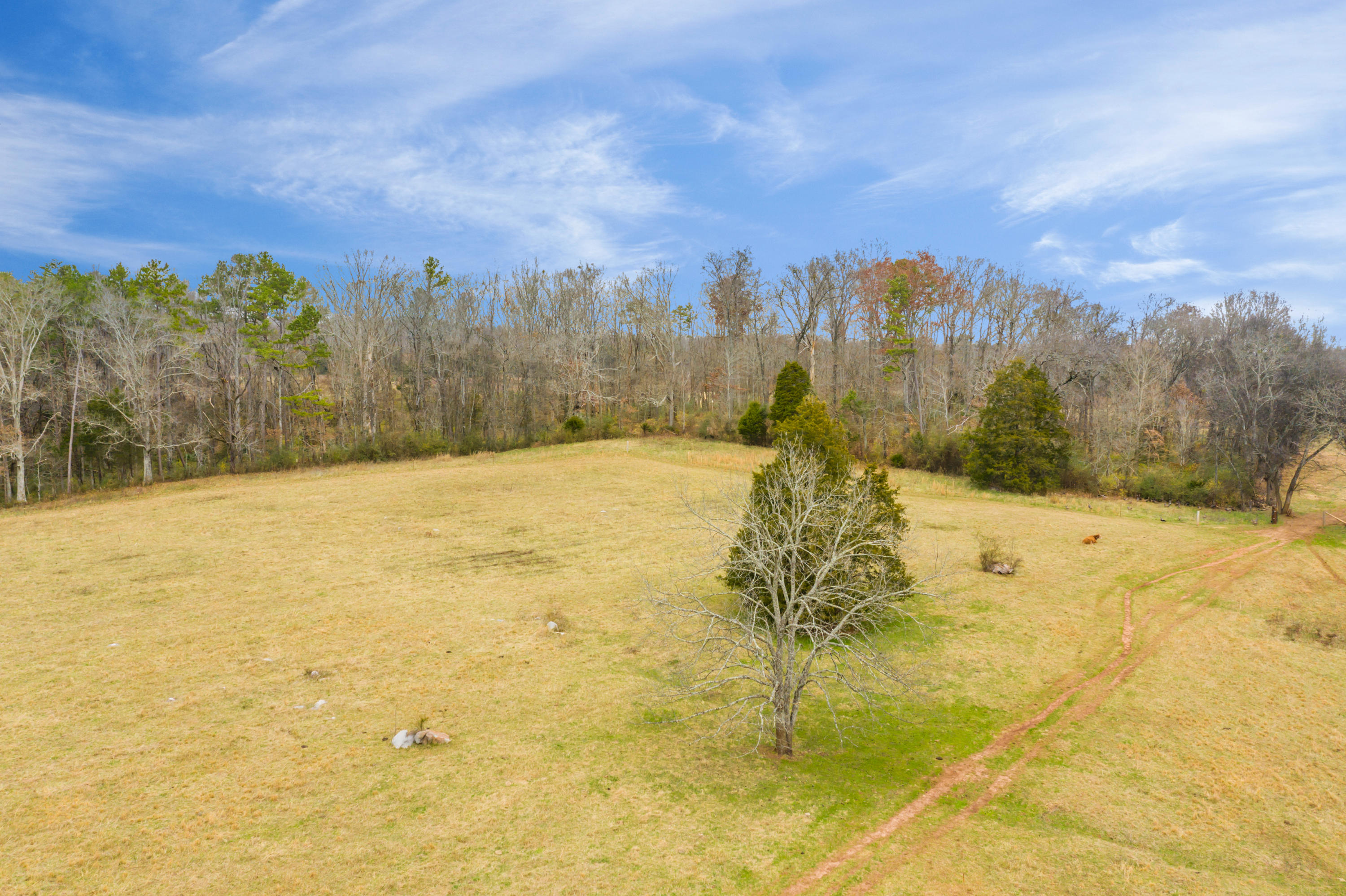 Luttrell Road Knoxville, TN 37918 - Photo 24 of 30 JimLuttrellLane-18