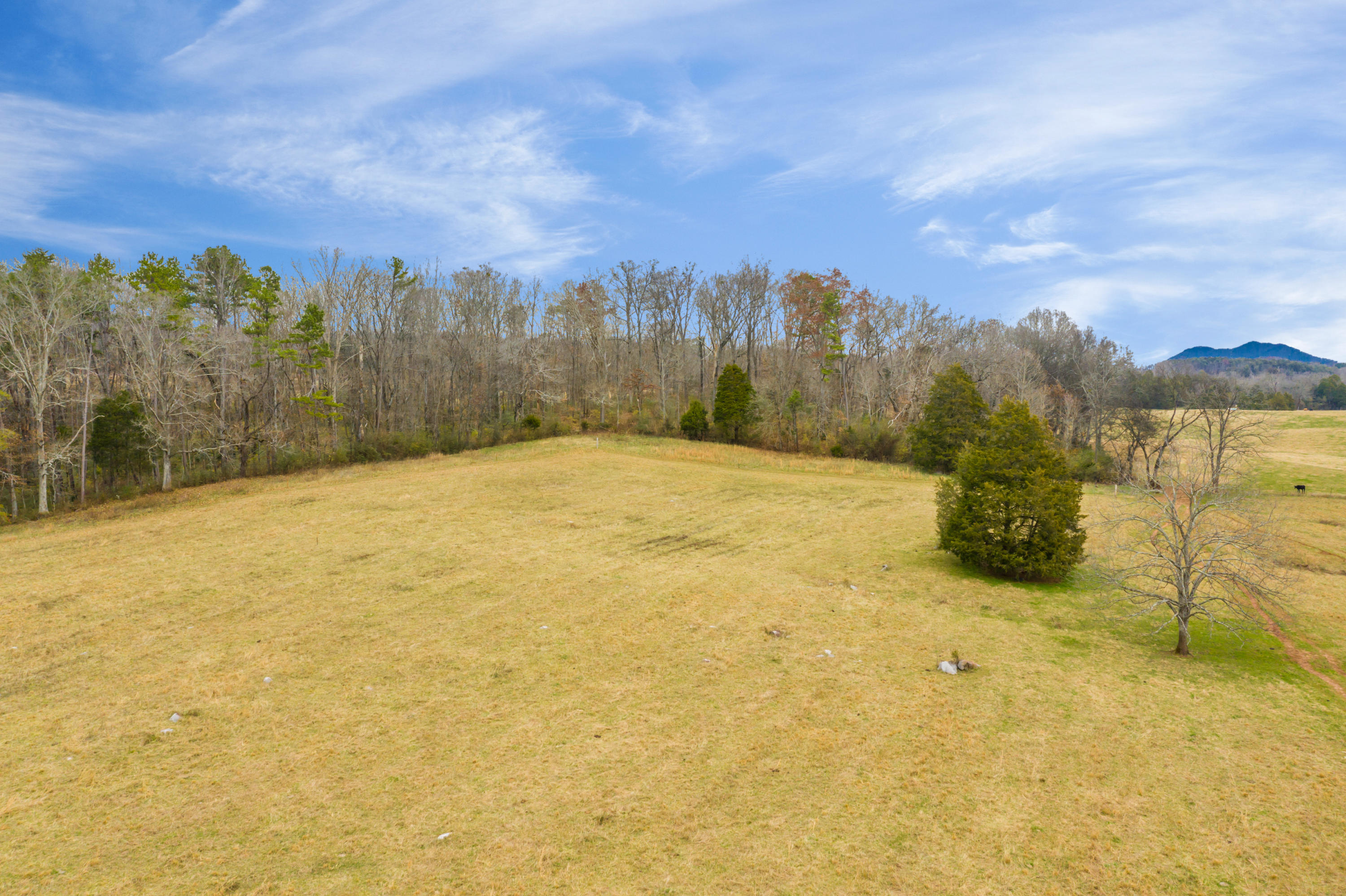 Luttrell Road Knoxville, TN 37918 - Photo 25 of 30 JimLuttrellLane-19