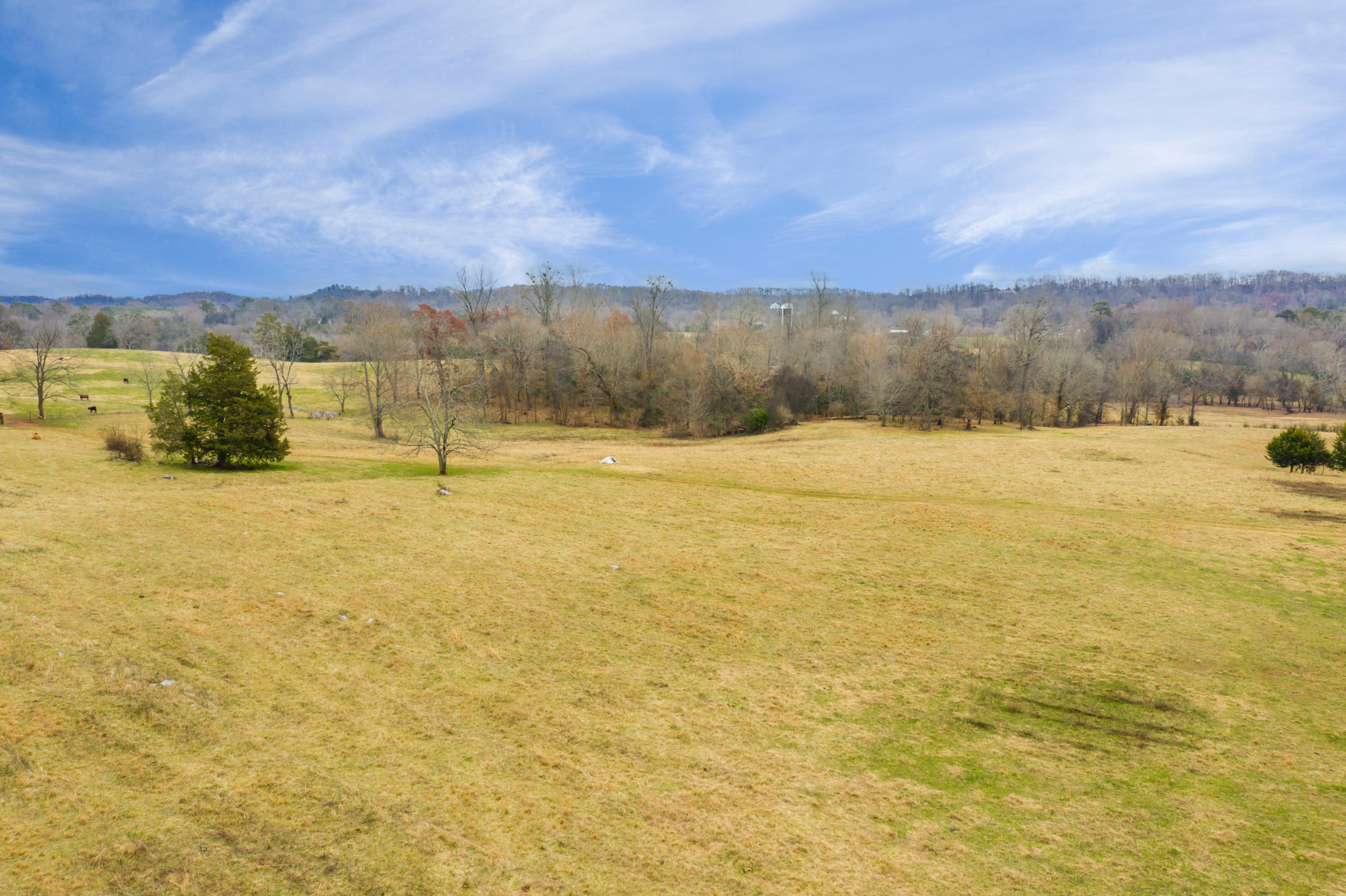 Luttrell Road Knoxville, TN 37918 - Photo 26 of 30 JimLuttrellLane-20
