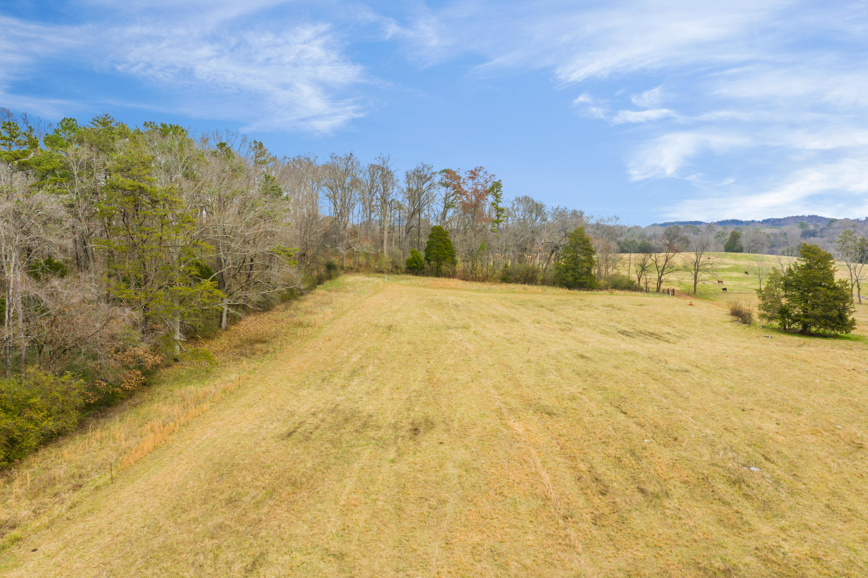 Luttrell Road Knoxville, TN 37918 - Photo 27 of 30 JimLuttrellLane-21