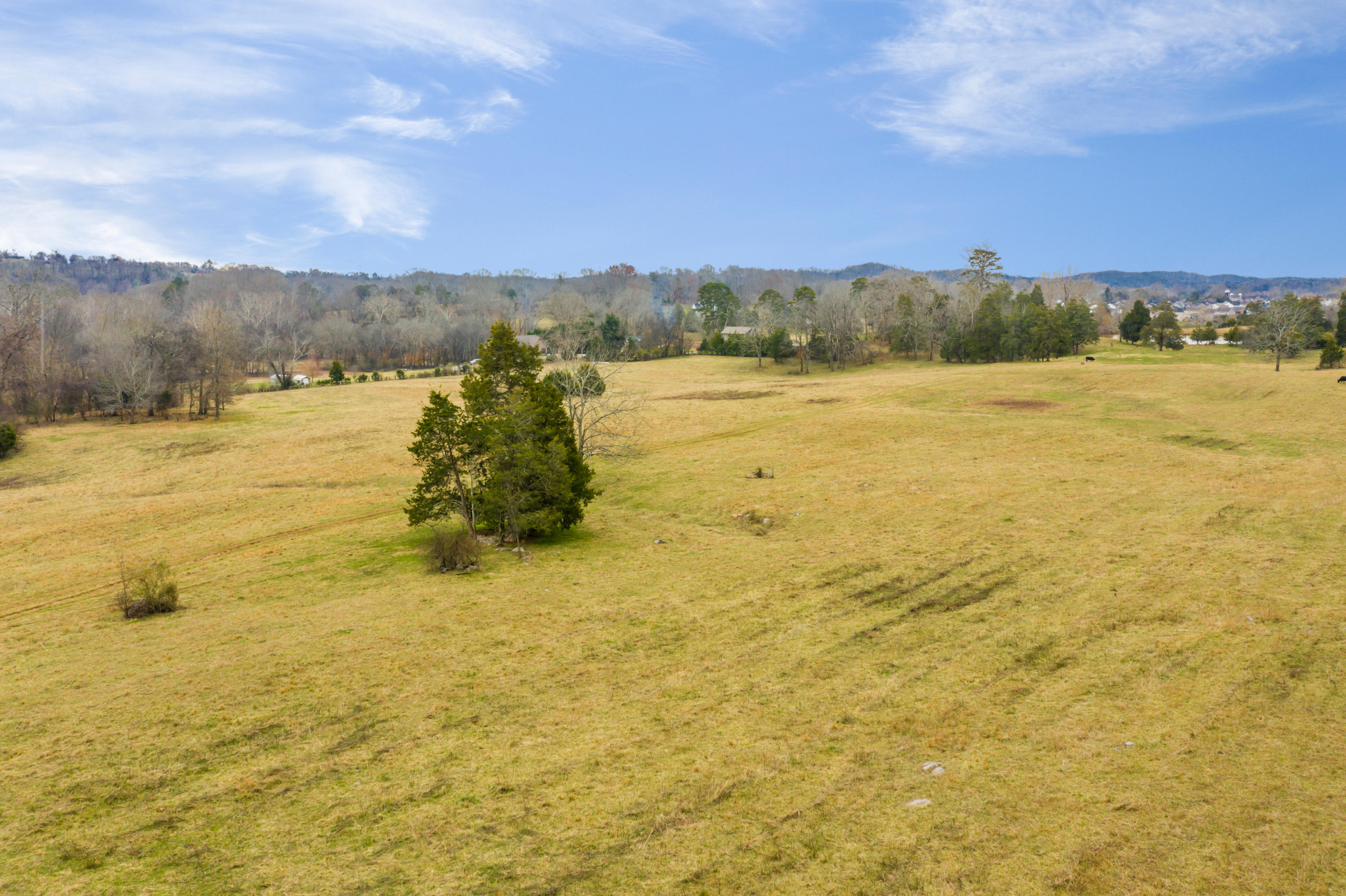 Luttrell Road Knoxville, TN 37918 - Photo 28 of 30 JimLuttrellLane-23