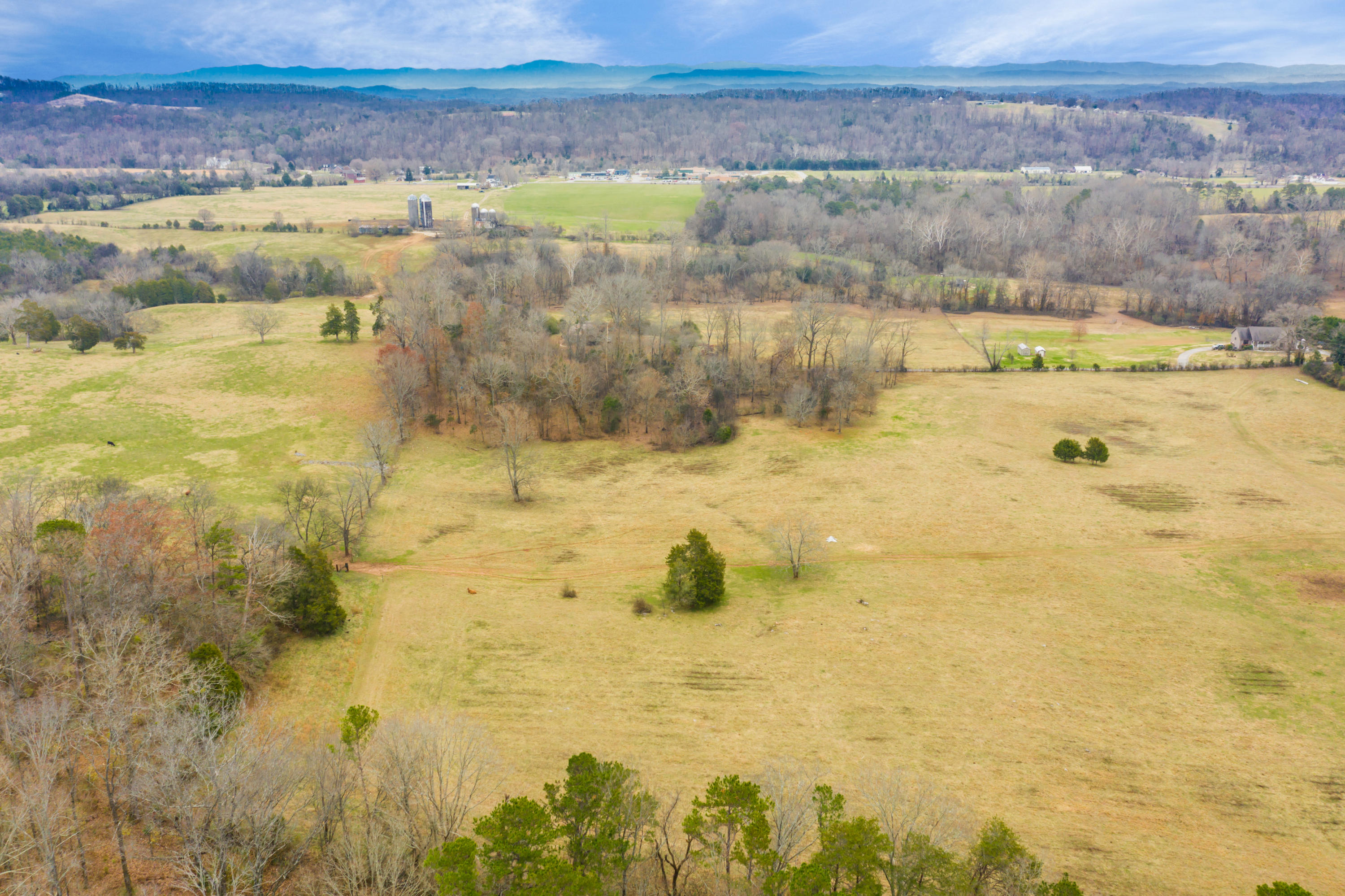 Luttrell Road Knoxville, TN 37918 - Photo 29 of 30 JimLuttrellLane-24