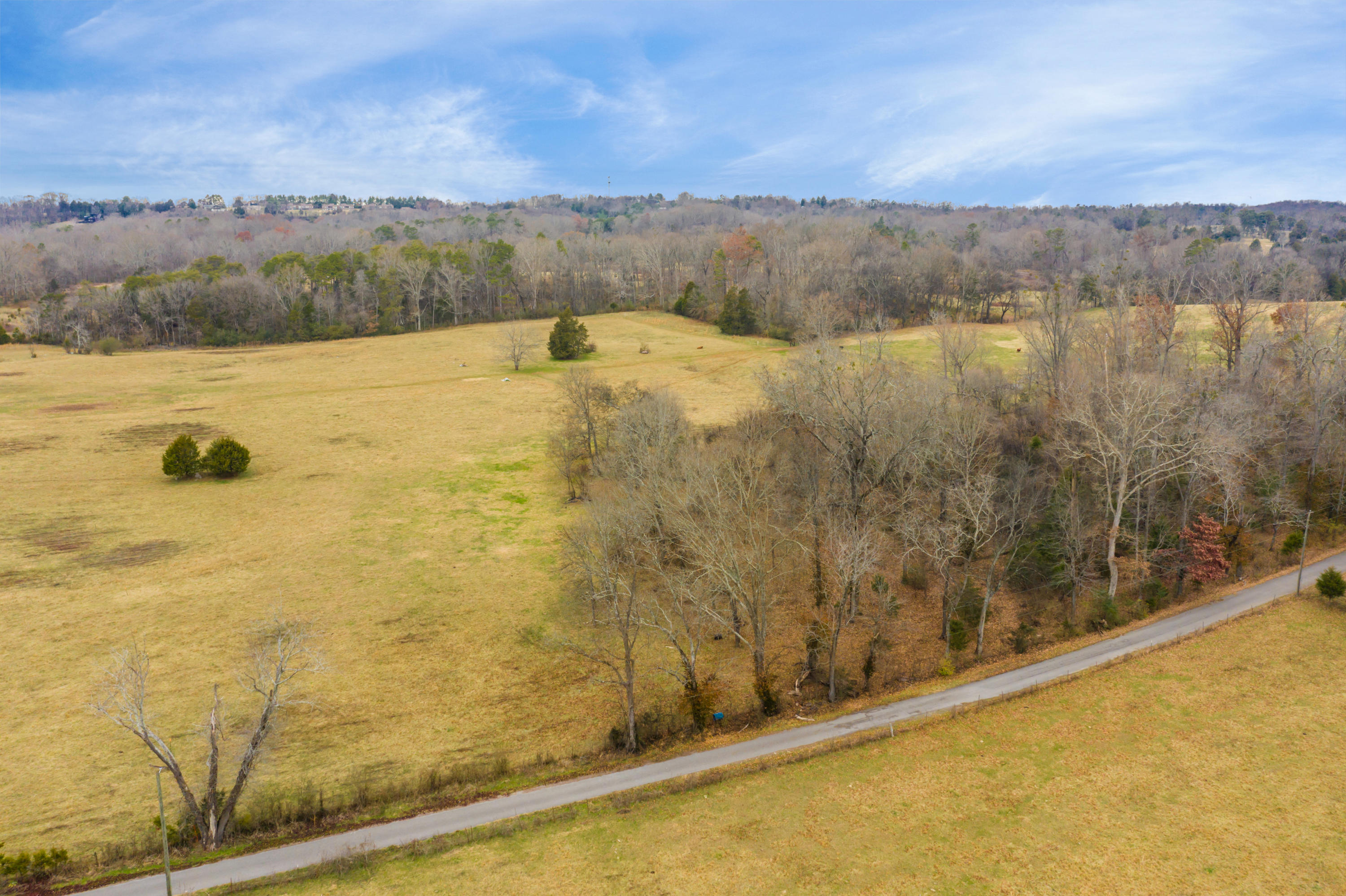 Luttrell Road Knoxville, TN 37918 - Photo 30 of 30 JimLuttrellLane