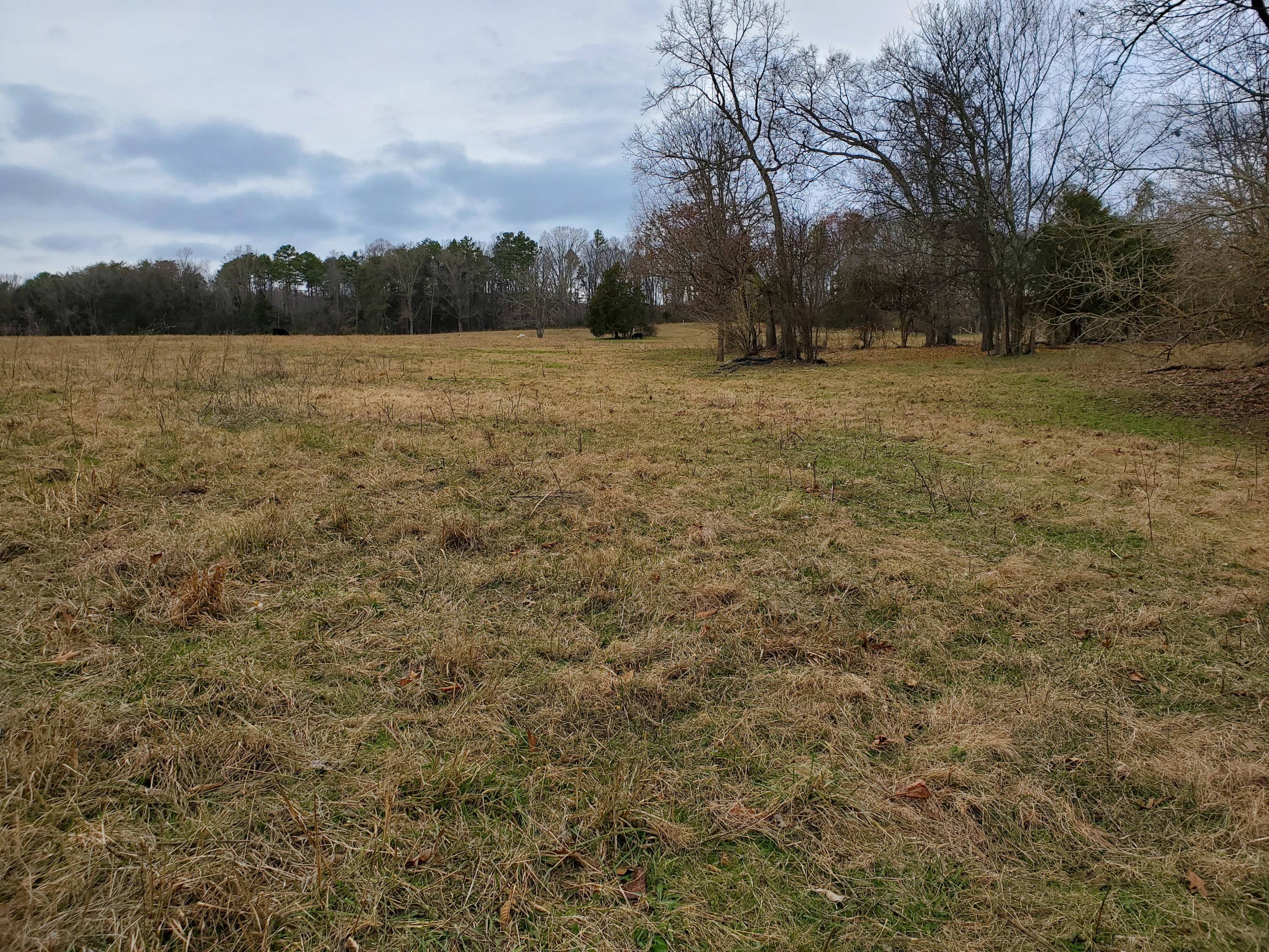 Luttrell Road Knoxville, TN 37918 - Photo 4 of 30 20191203_151404