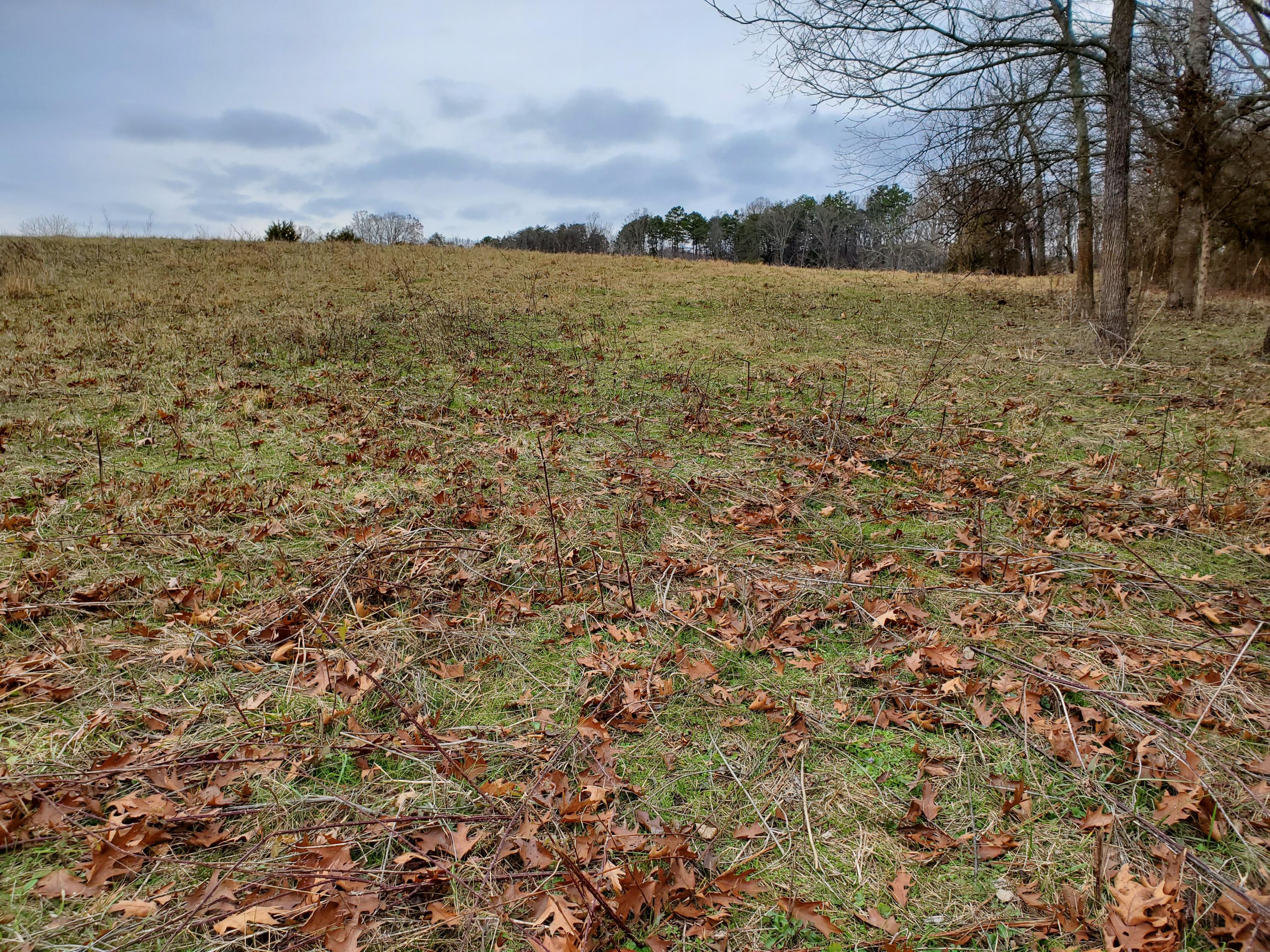 Luttrell Road Knoxville, TN 37918 - Photo 5 of 30 20191203_151330
