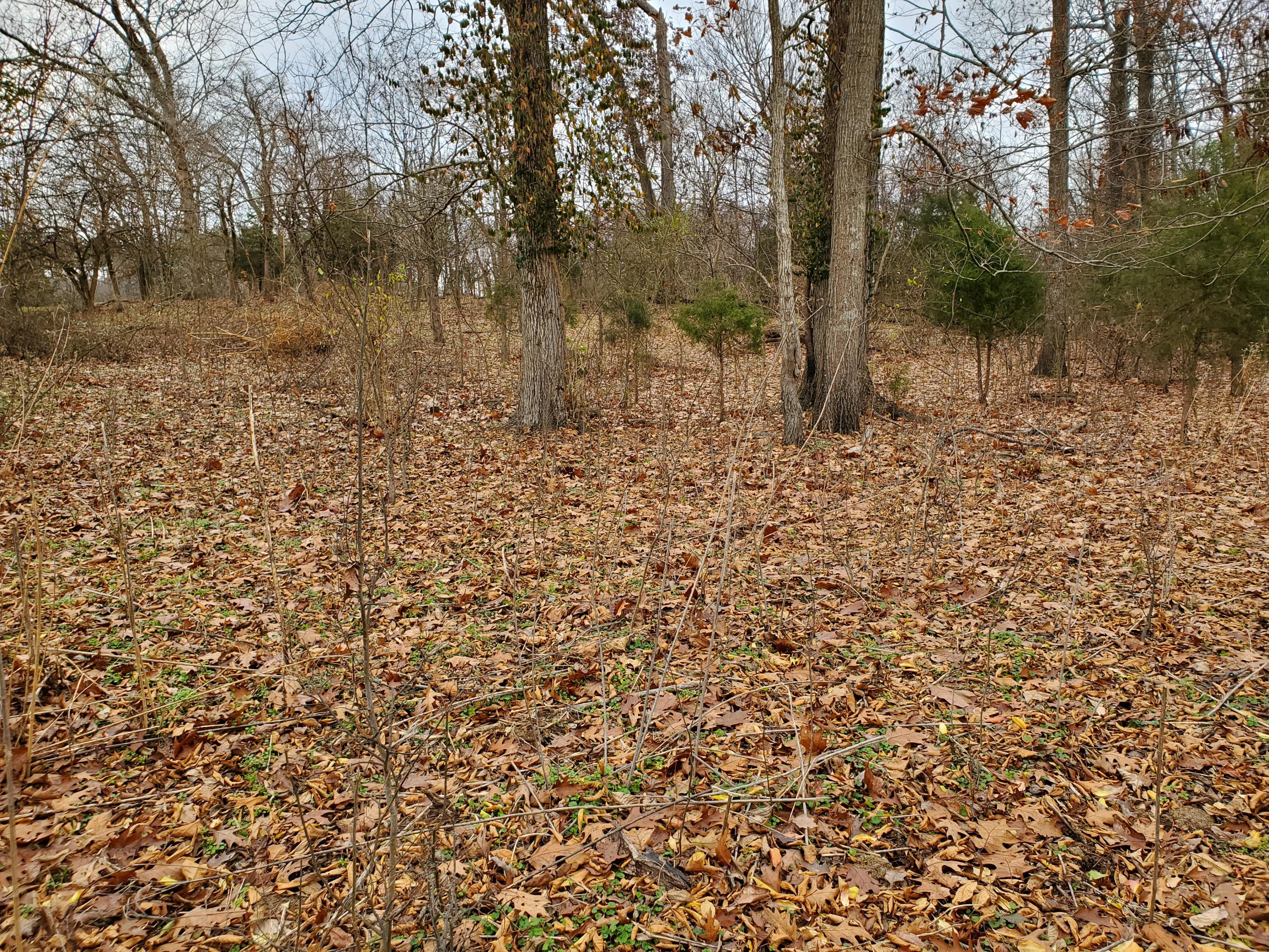 Luttrell Road Knoxville, TN 37918 - Photo 6 of 30 20191203_150742