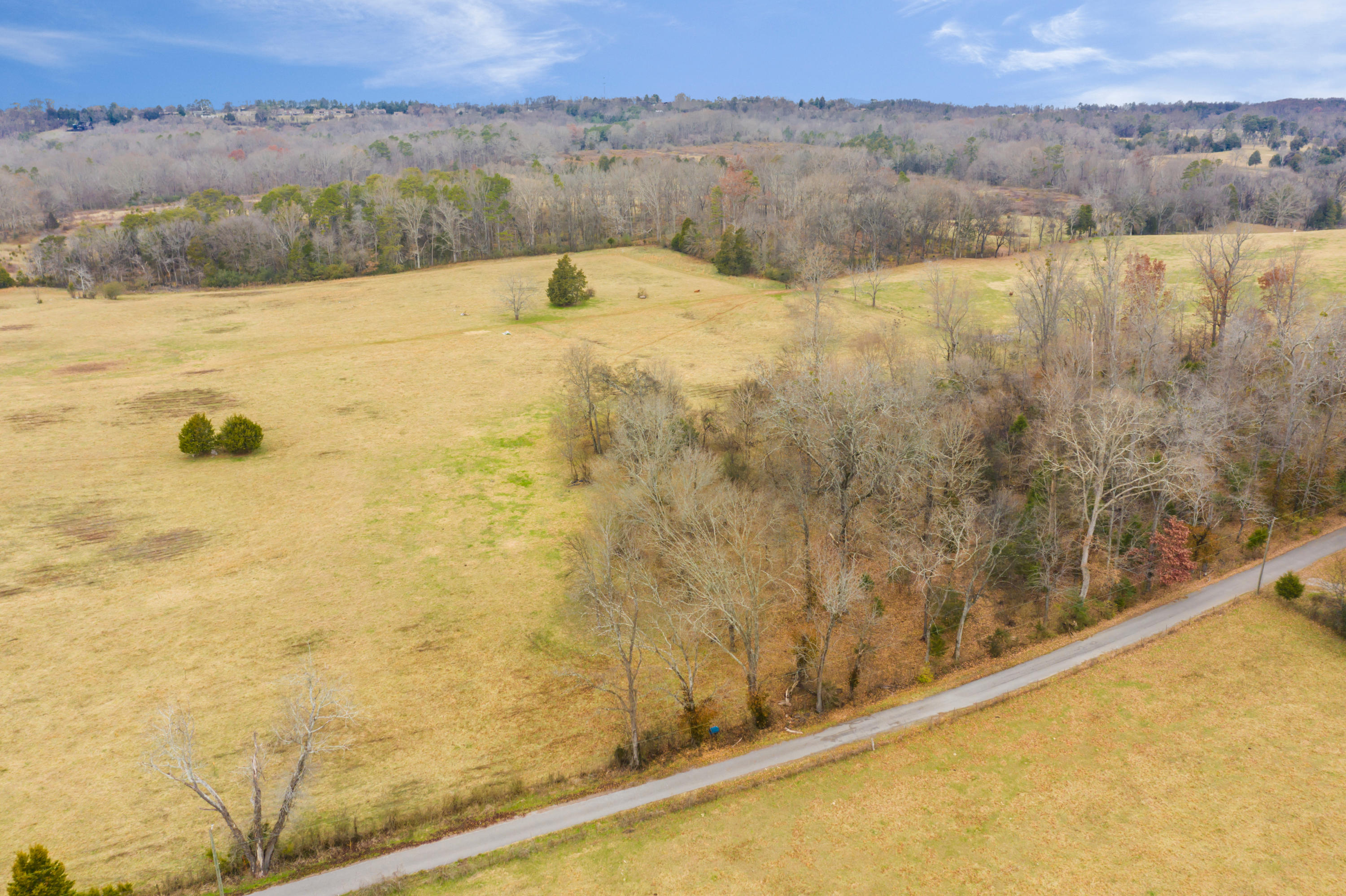 Luttrell Road Knoxville, TN 37918 - Photo 7 of 30 JimLuttrellLane-2