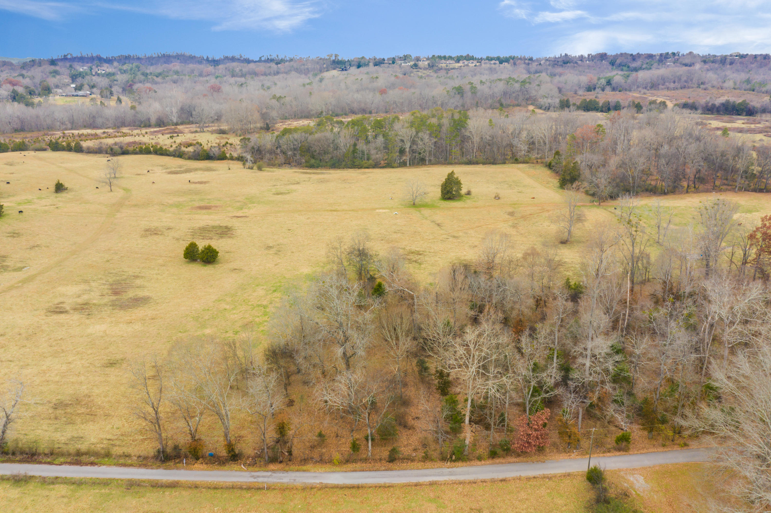 Luttrell Road Knoxville, TN 37918 - Photo 8 of 30 JimLuttrellLane-3