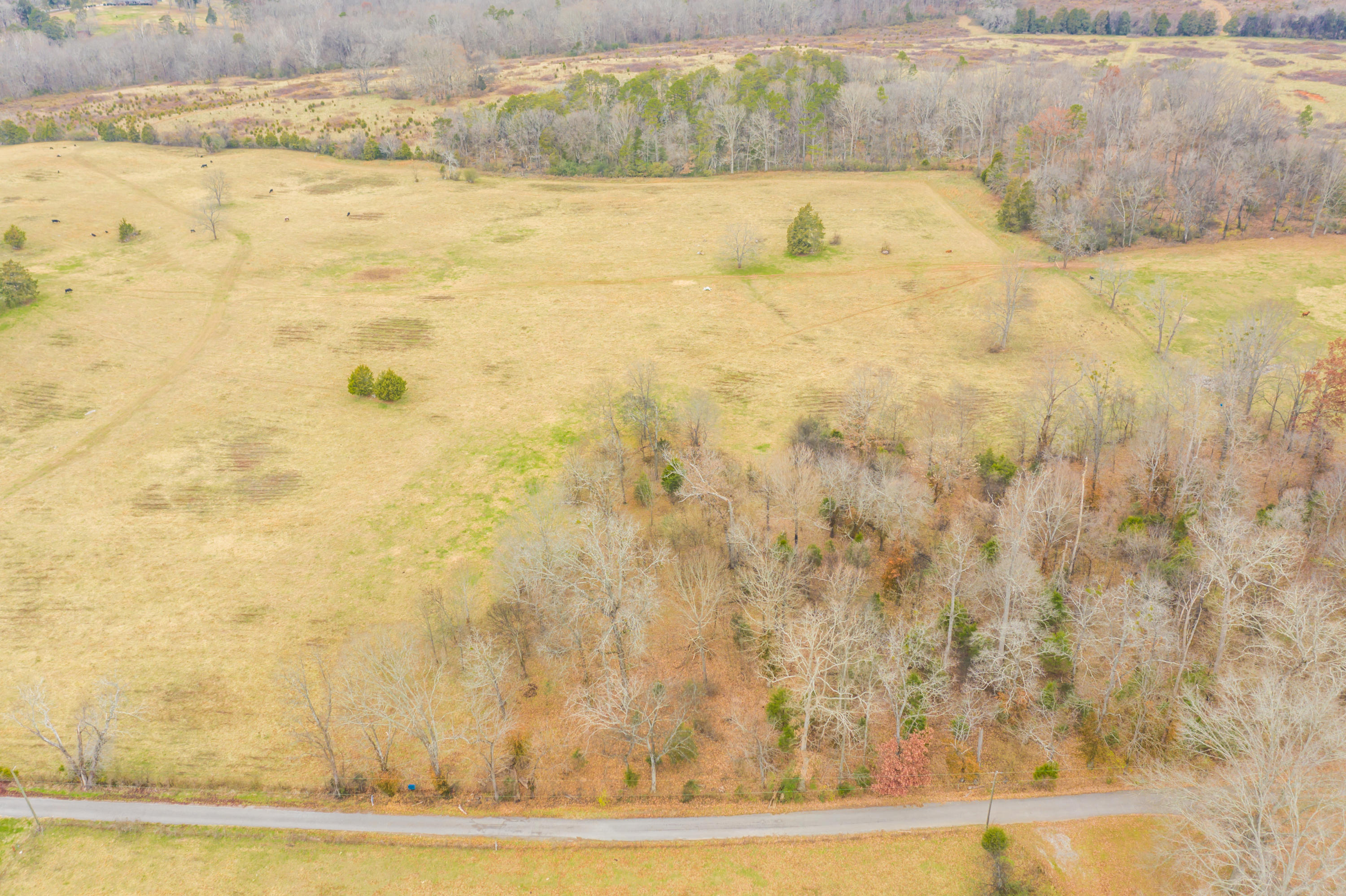 Luttrell Road Knoxville, TN 37918 - Photo 9 of 30 JimLuttrellLane-4