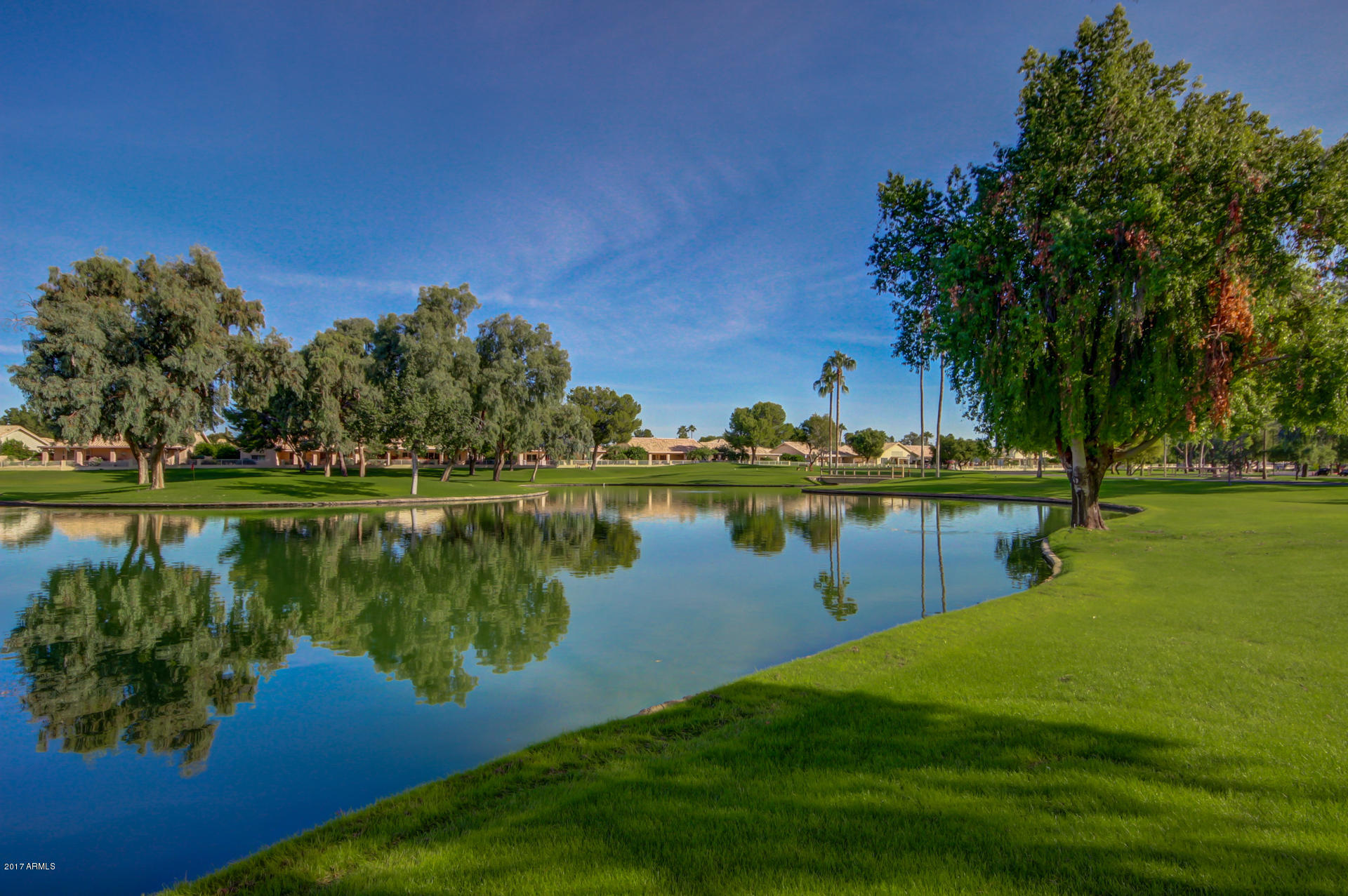 14300 West Bell Road, Unit 531 Surprise, AZ 85374 - Photo 43 of 48 svgc2
