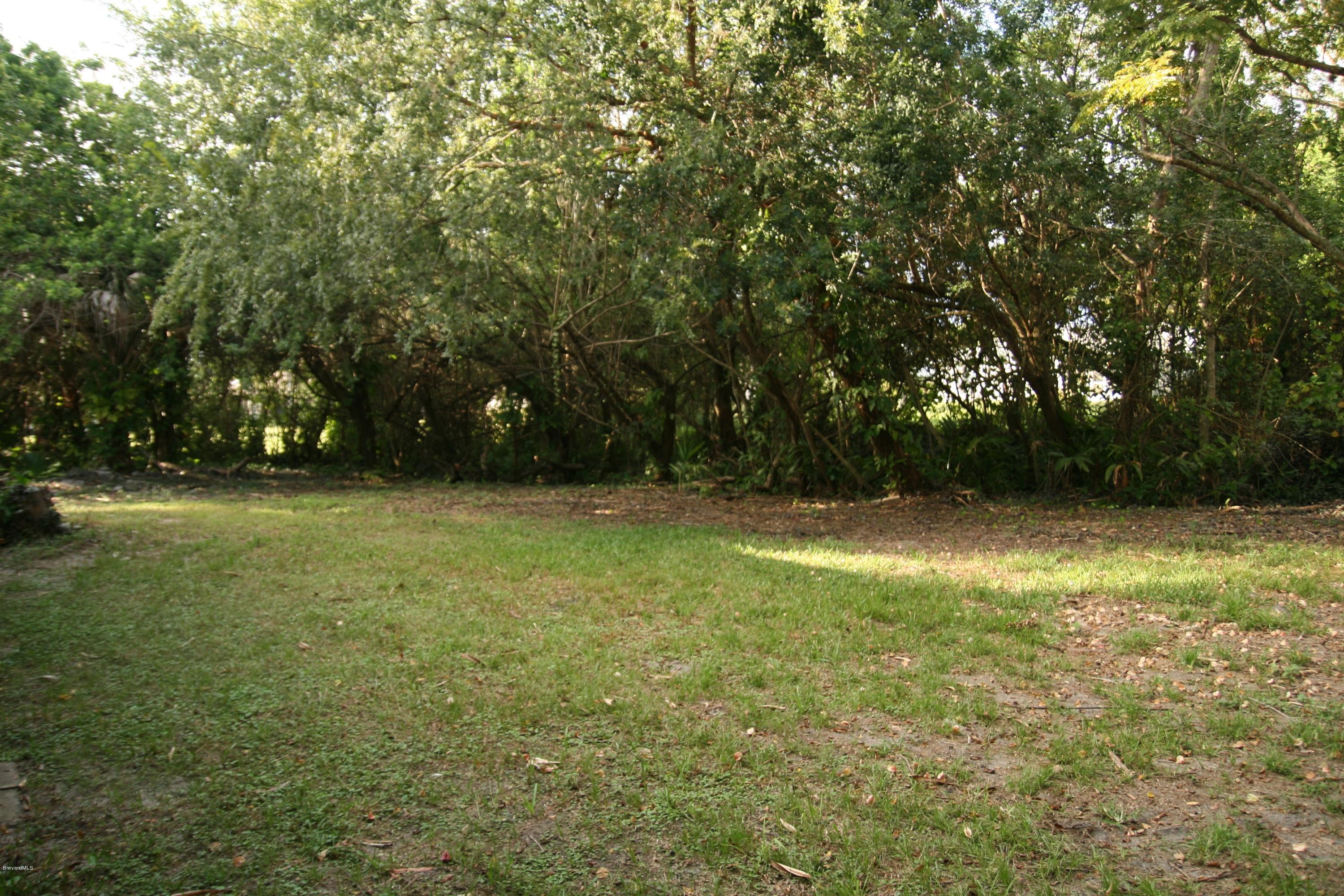 285 East Crisafulli Road Merritt Island, FL 32953 - Photo 20 of 25 secluded front yard
