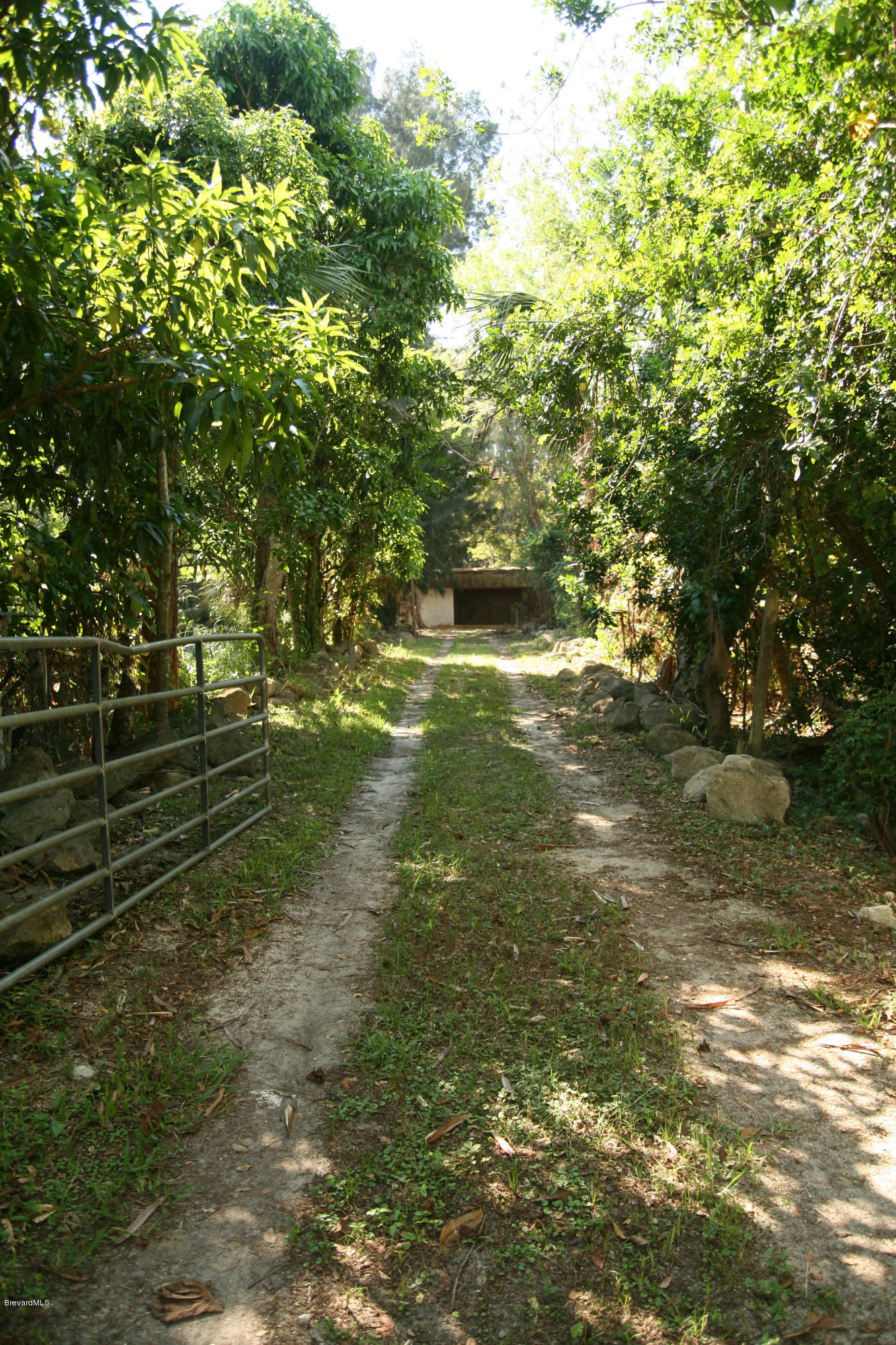 285 East Crisafulli Road Merritt Island, FL 32953 - Photo 3 of 25 private driveway