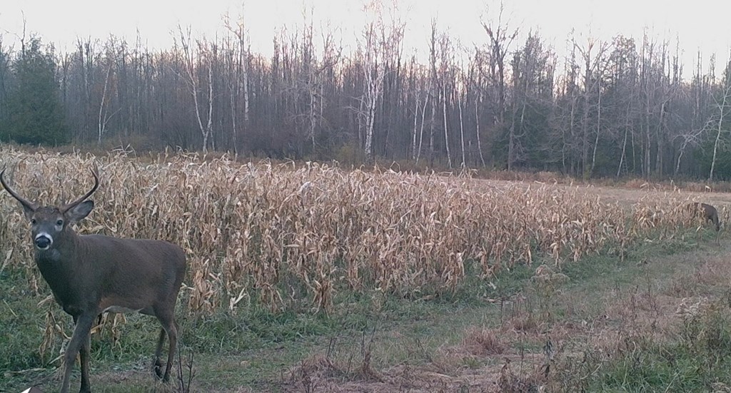 East Center Road Forestville, WI 54213 - Photo 9 of 15