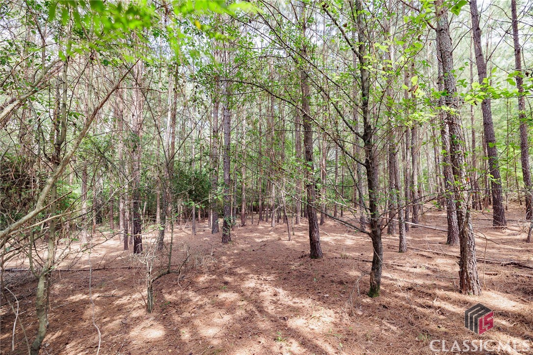 0 Wellbrook Road Athens, GA 30606 - Photo 8 of 11