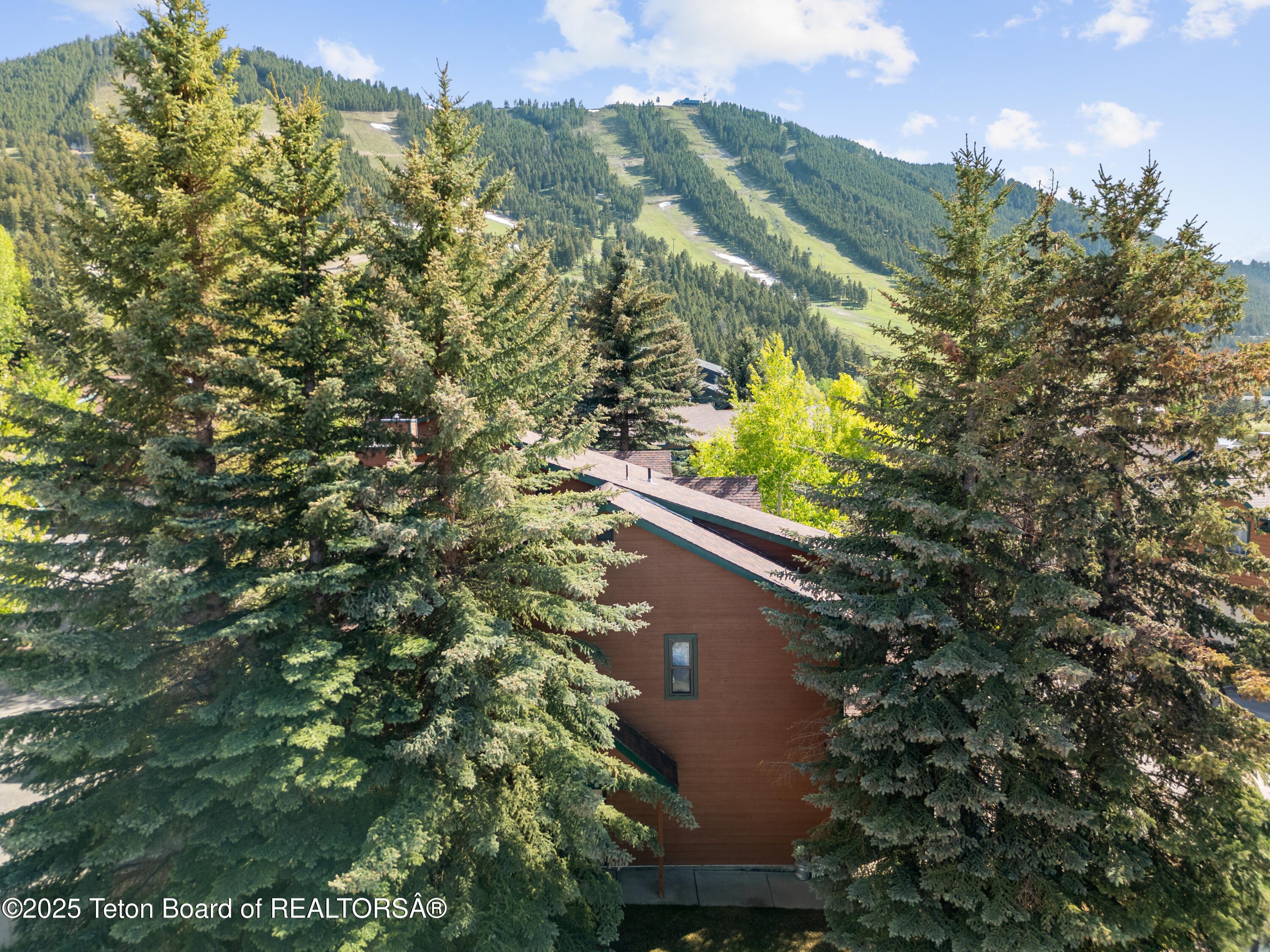 371 Snow King Loop Jackson, WY 83001 - Photo 3 of 22 Drone Tree View