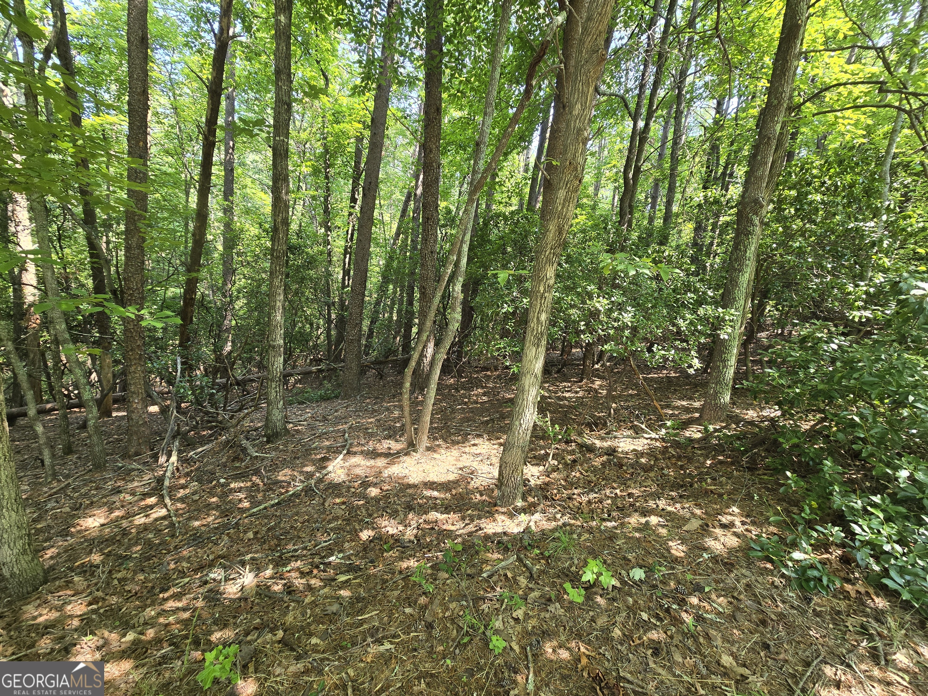 C2 Quail Run Sautee Nacoochee, GA 30571 - Photo 2 of 17