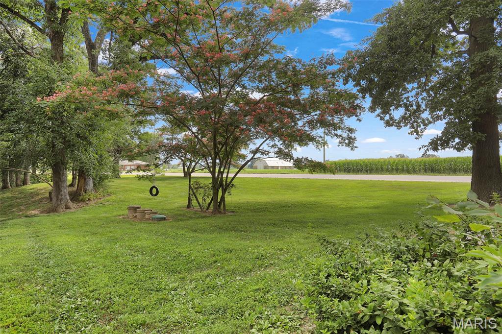 8336 Highway 159 Dorsey, IL 62021 - Photo 27 of 34