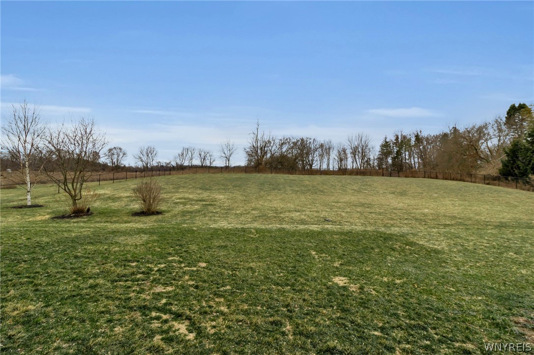9151 Shepard Road Batavia, NY 14020 - Photo 4 of 50