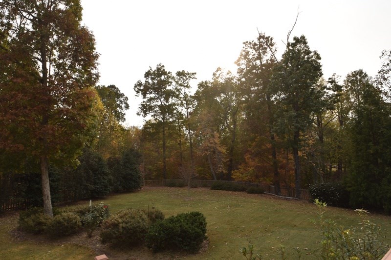 631 Claystone Drive Inman, SC 29349 - Photo 21 of 23