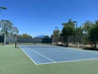 a view of a park with large trees