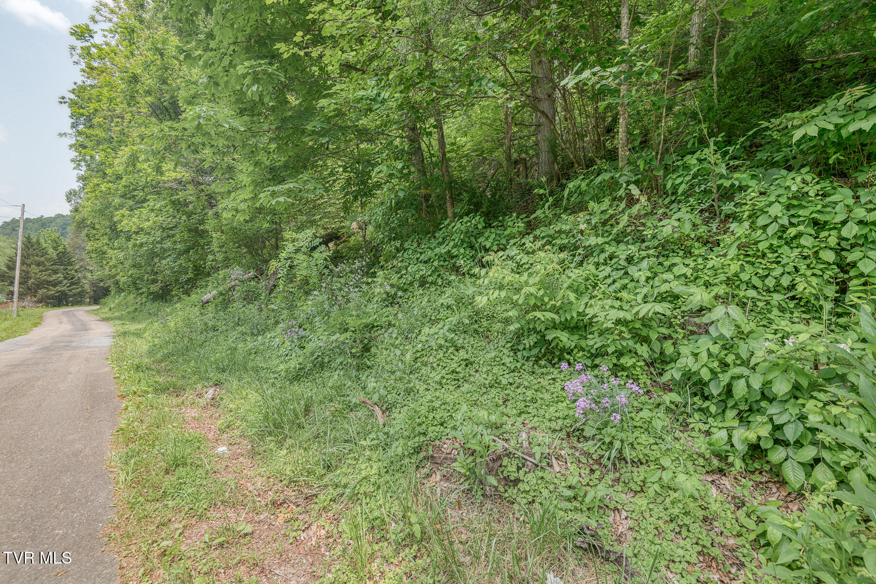 0 Slimp Branch Road Mountain City, TN 37683 - Photo 2 of 6 Crackers Neck Rd 23