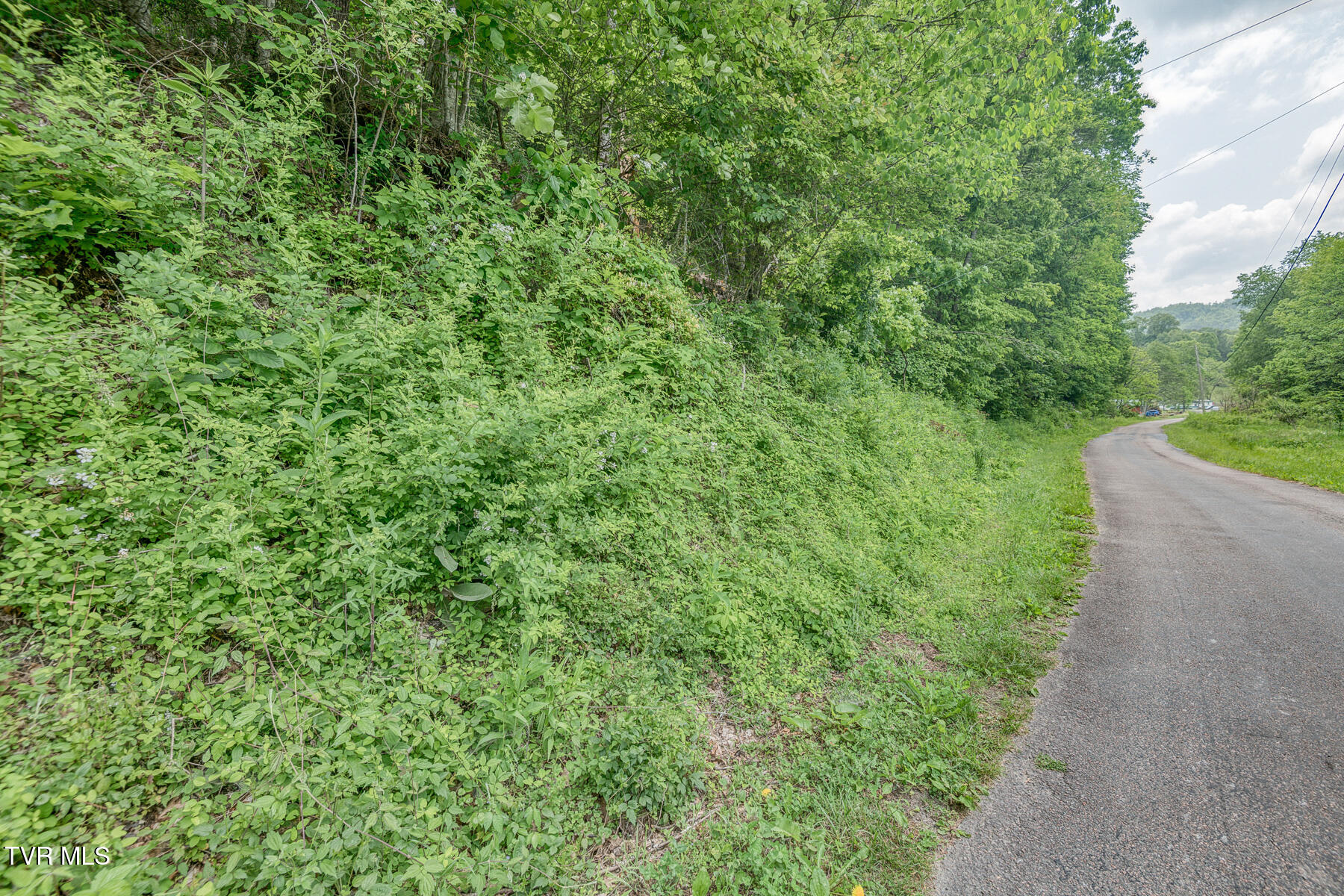 0 Slimp Branch Road Mountain City, TN 37683 - Photo 3 of 6 Crackers Neck Rd 24