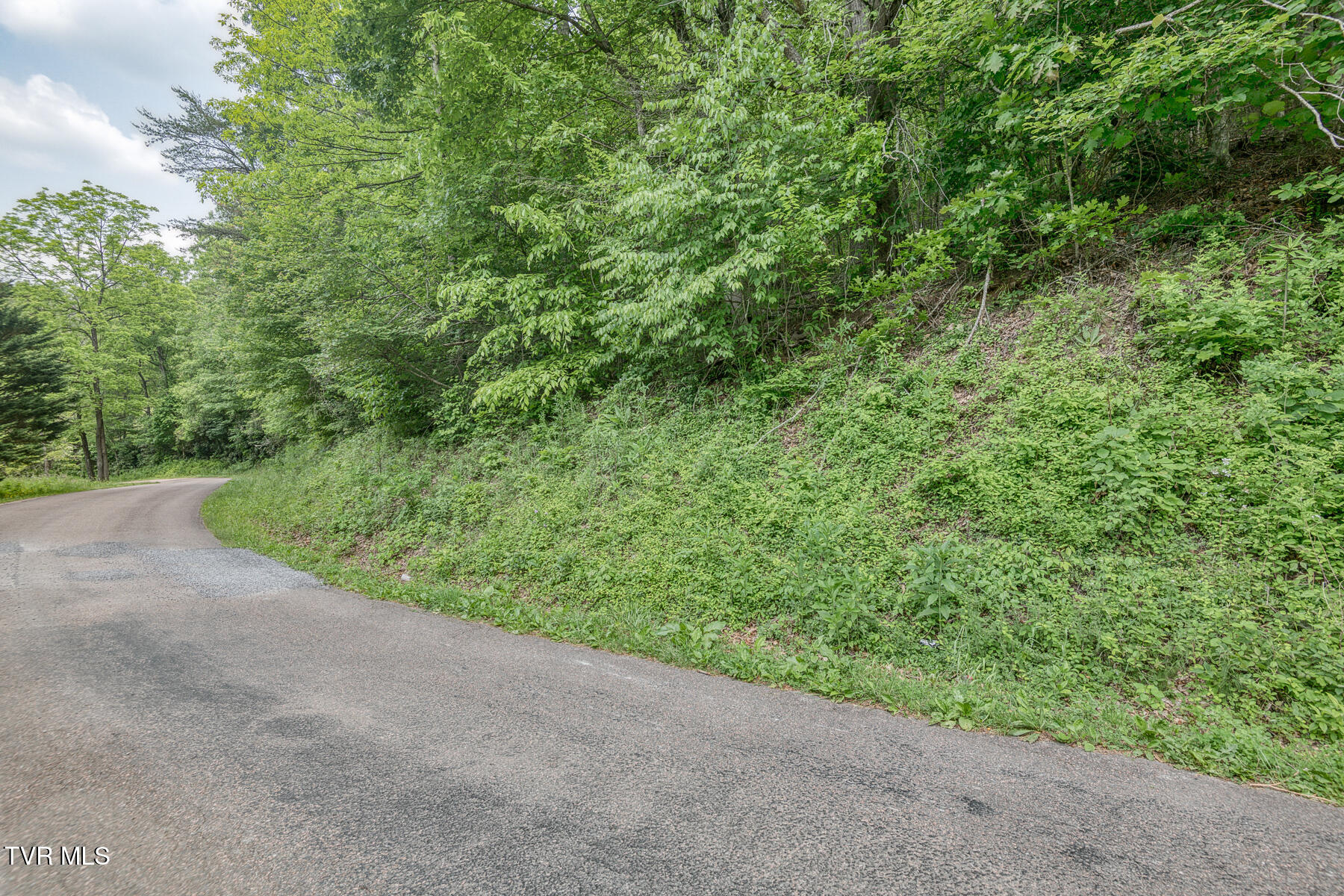 0 Slimp Branch Road Mountain City, TN 37683 - Photo 4 of 6 Crackers Neck Rd 25