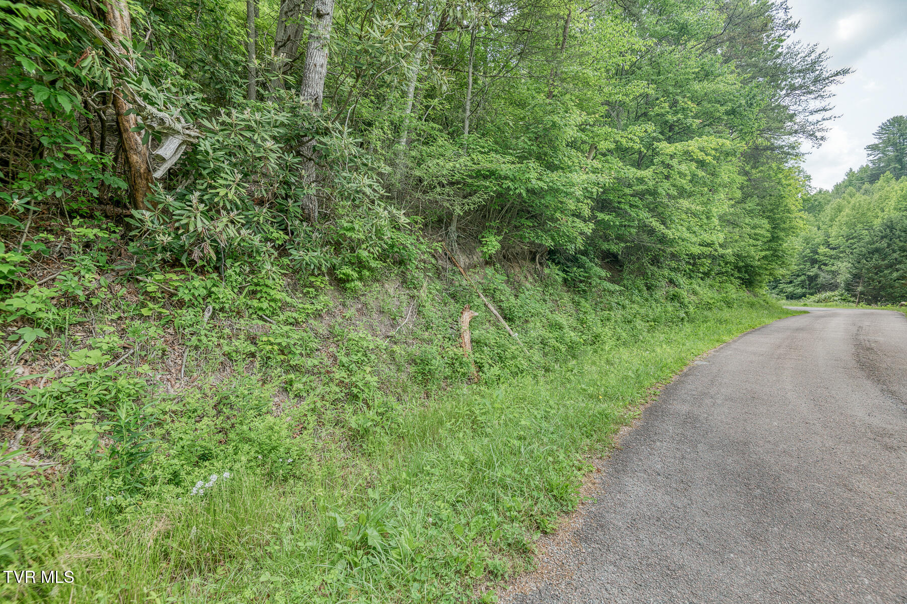 0 Slimp Branch Road Mountain City, TN 37683 - Photo 5 of 6 Crackers Neck Rd 26