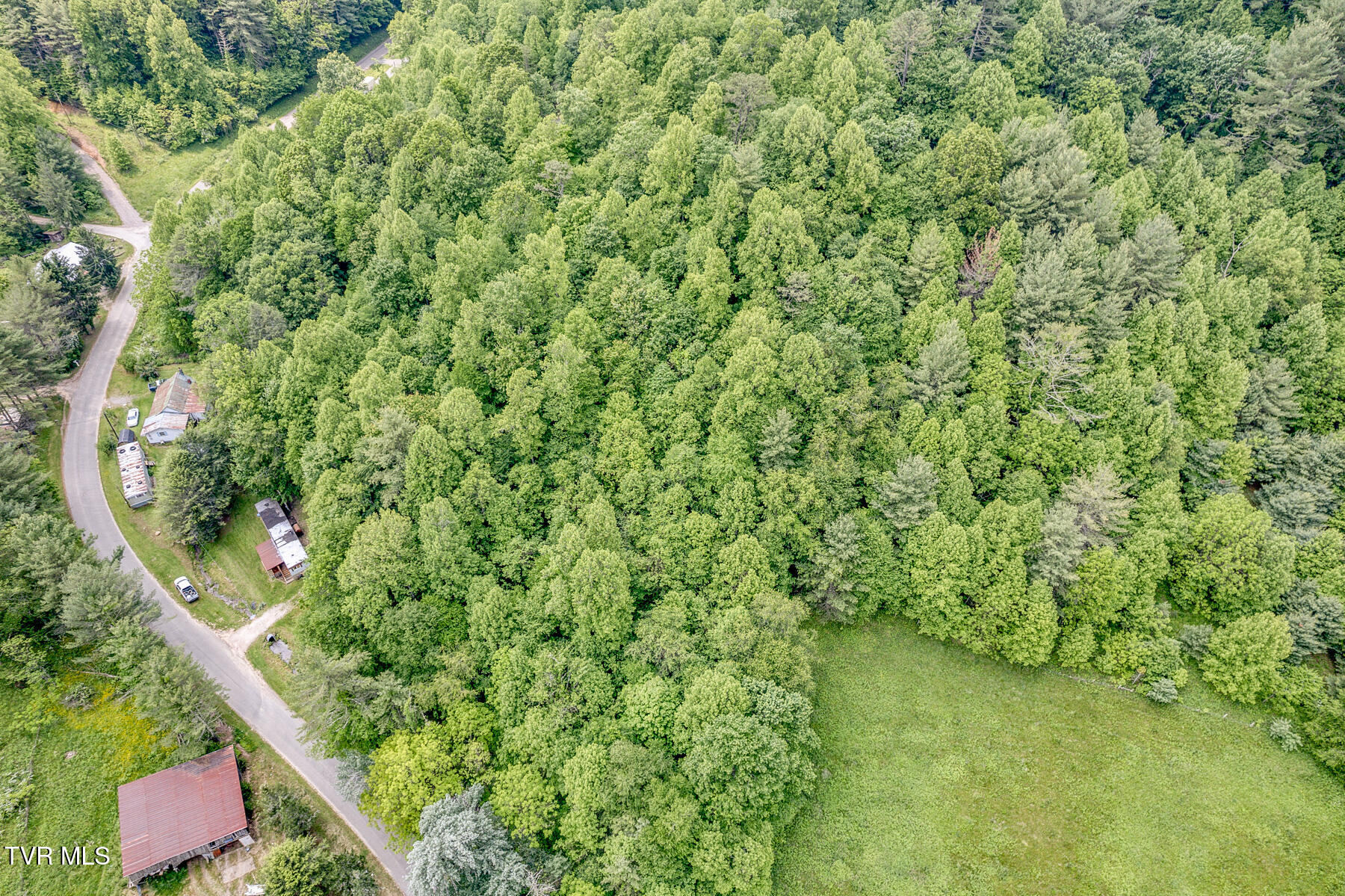 0 Slimp Branch Road Mountain City, TN 37683 - Photo 6 of 6 Crackers Neck Rd sec lot 5