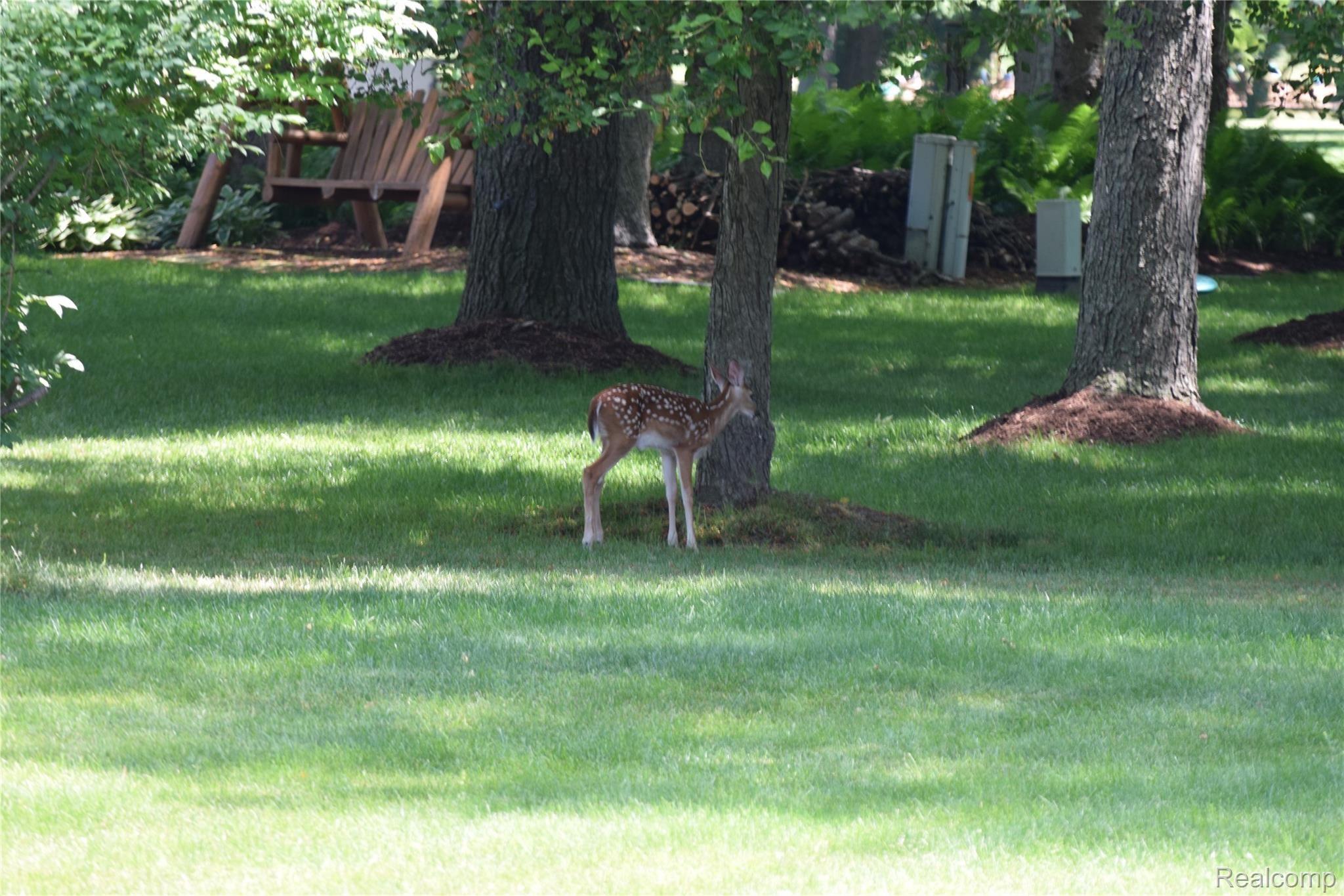 61396 North Ridge Trail Washington, MI 48094 - Photo 42 of 51 55.JPG