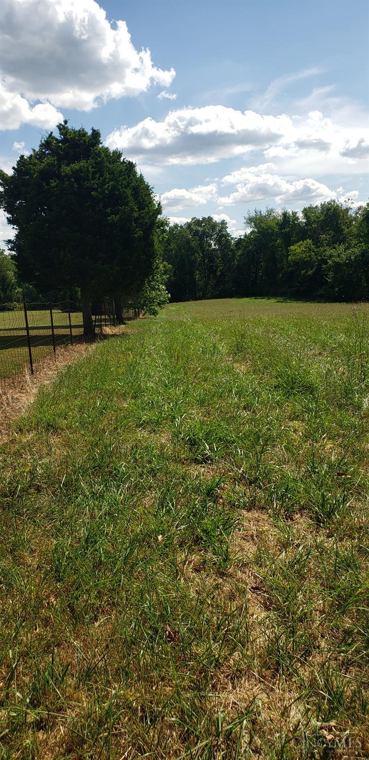 Lot A Fagins Run Road New Richmond, OH 45157 - Photo 4 of 6 Side fence line