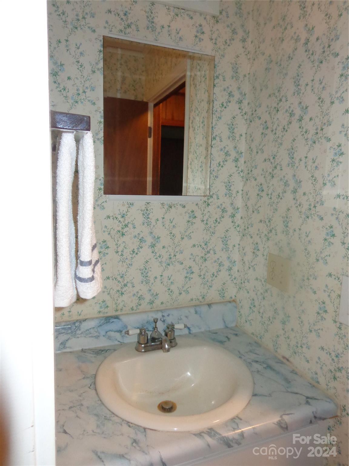 981 Rufus Robinson Road Sylva, NC 28779 - Photo 12 of 27 a bathroom with a sink and mirror