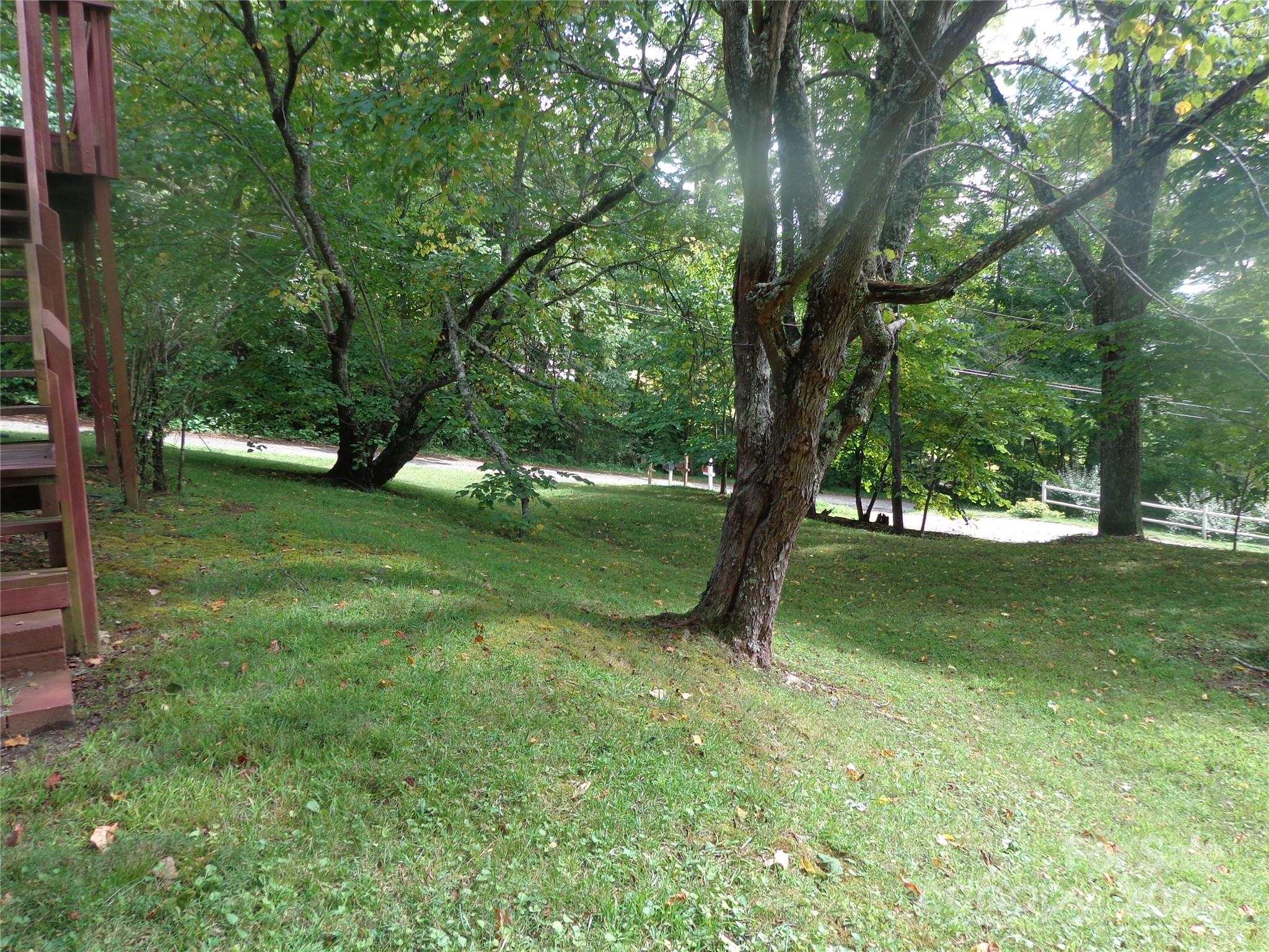 981 Rufus Robinson Road Sylva, NC 28779 - Photo 21 of 27 a view of a trees in a park